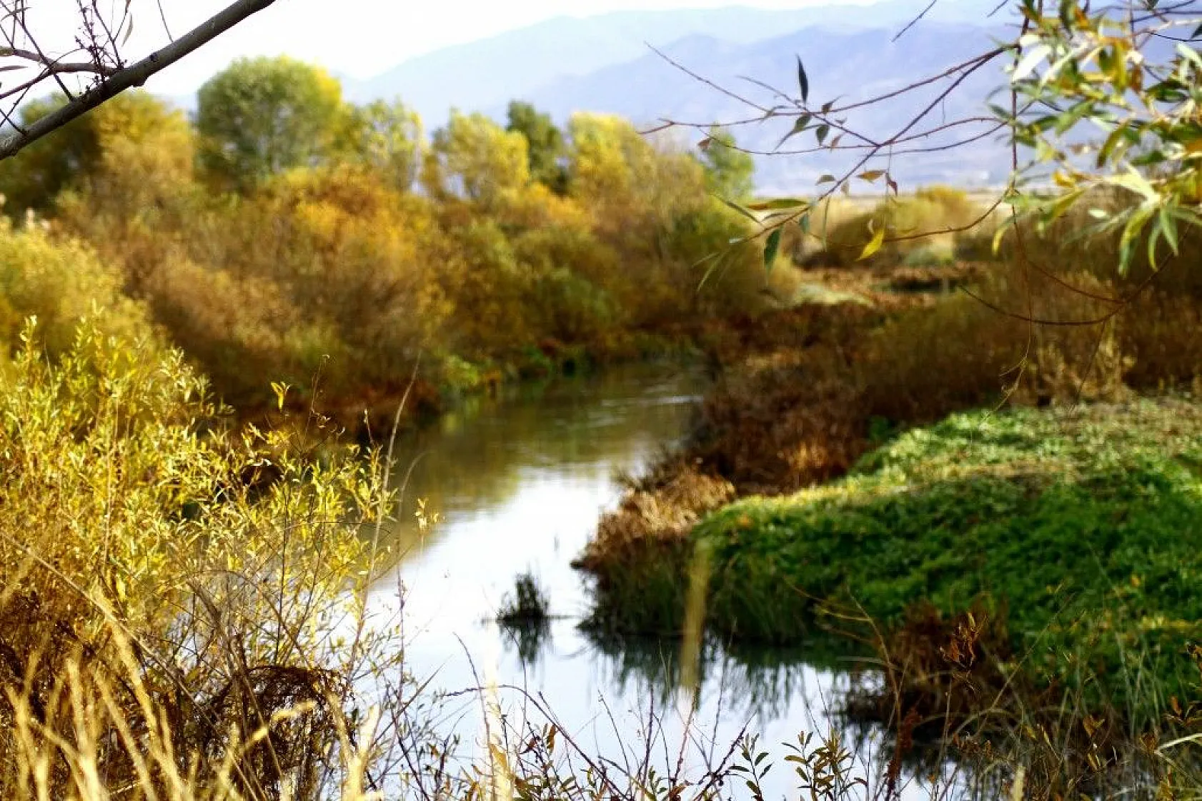 Yüksekova'da sonbahar güzelliği