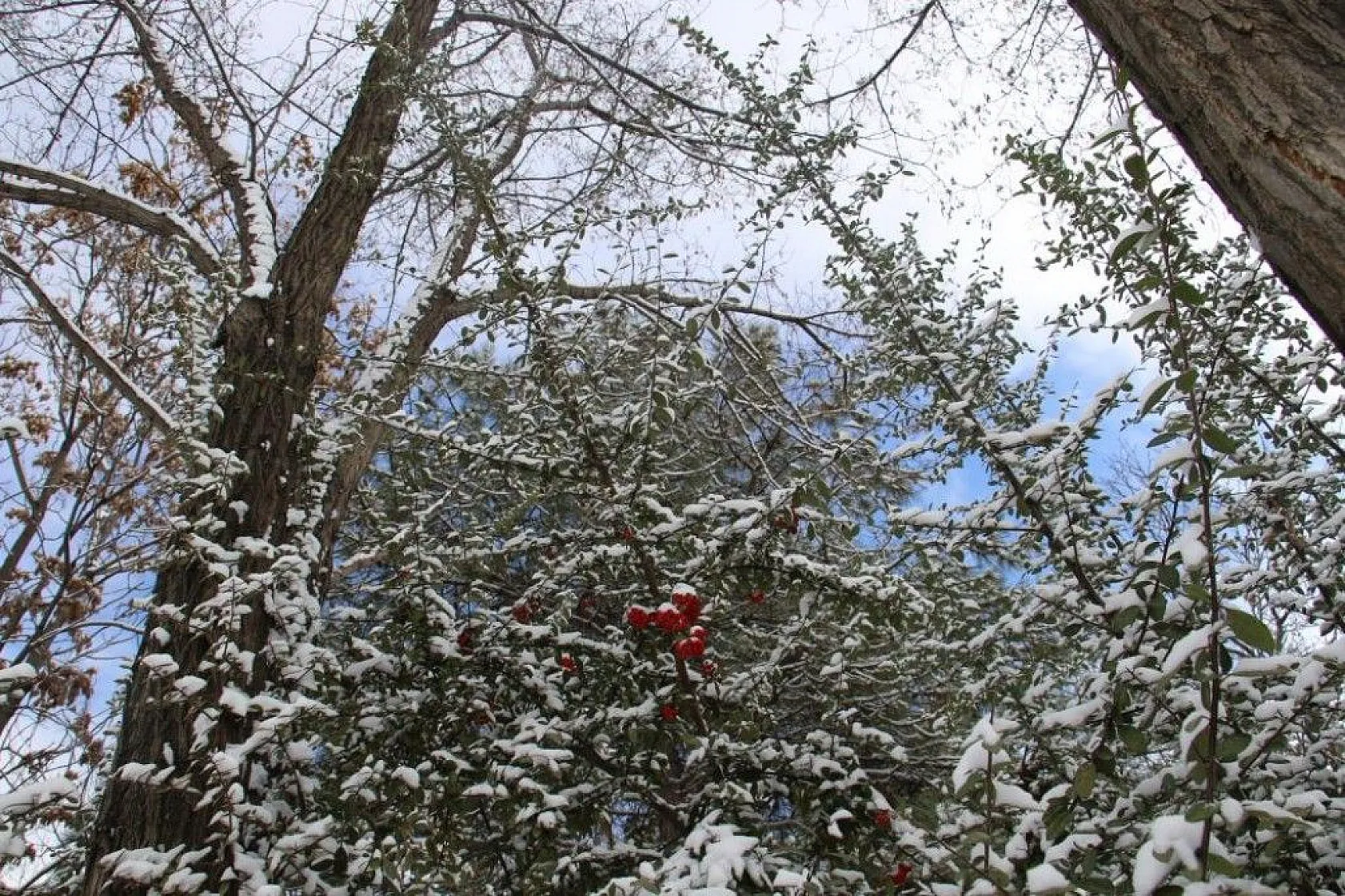 Elazığ'da kar sevinci