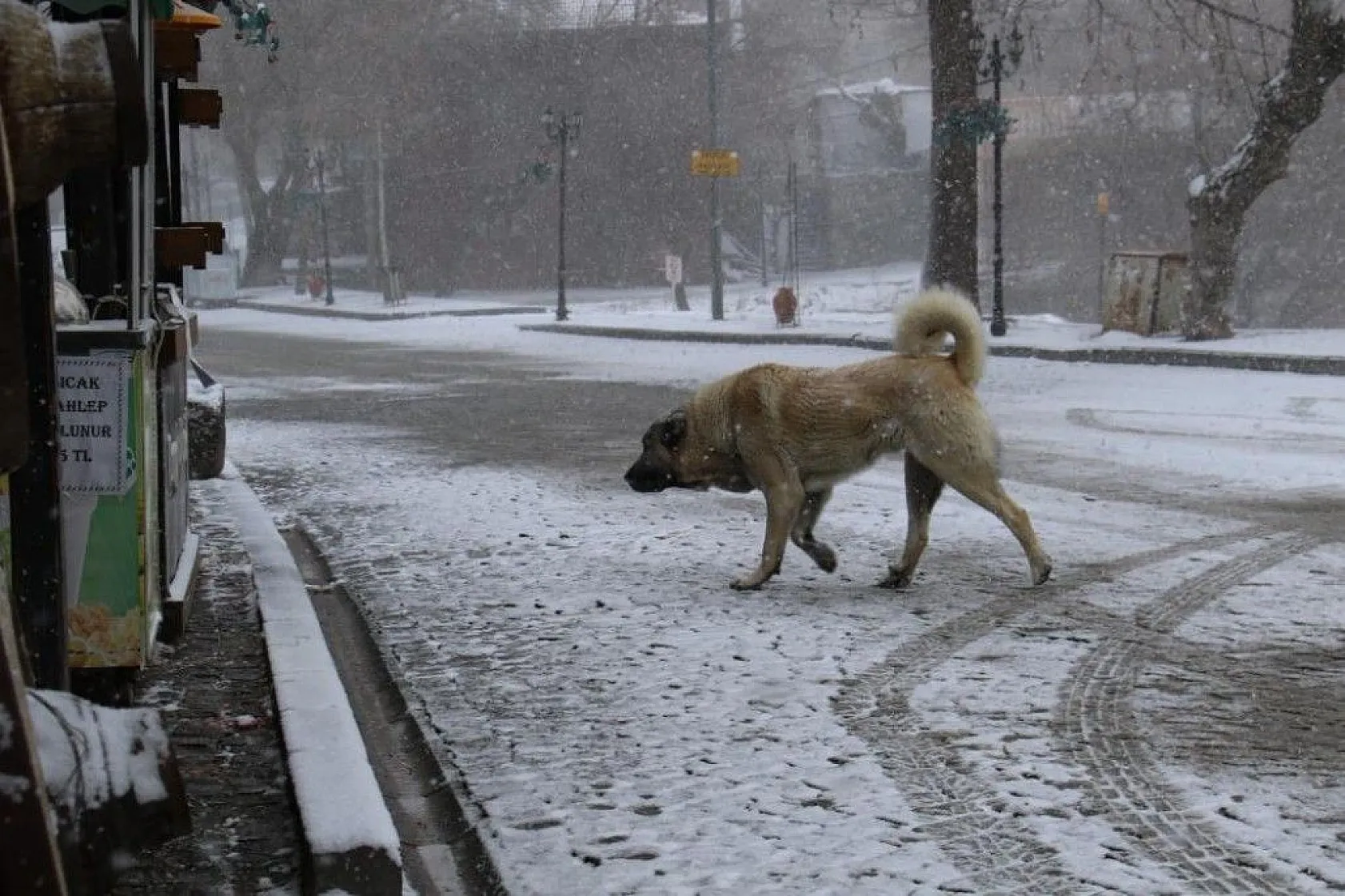 Tarihi mahalle beyaza büründü