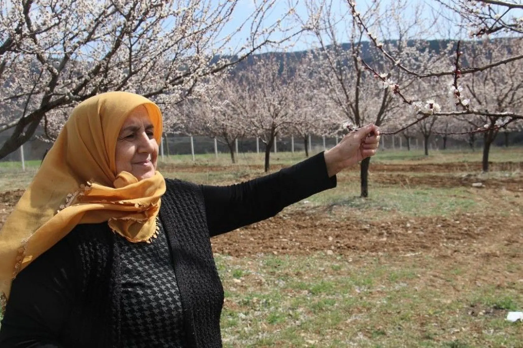 Ağaçlar beyaz gelinliği giydi