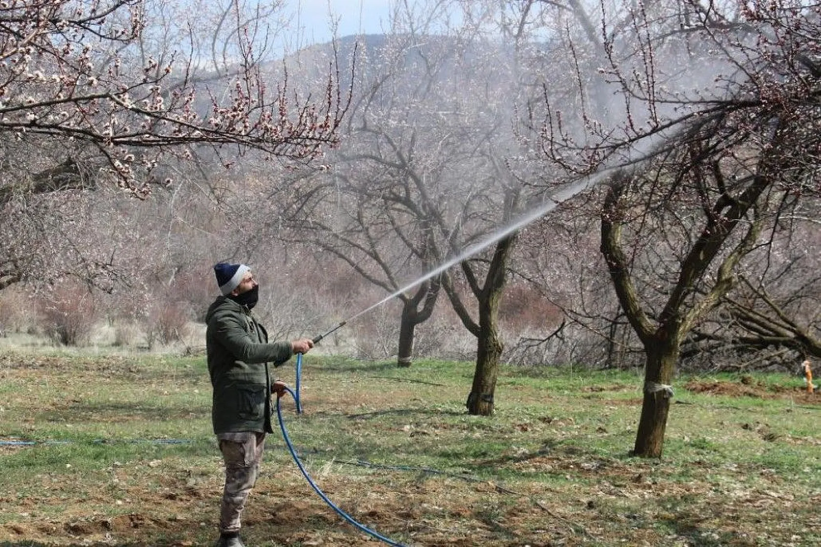 Ağaçlar beyaz gelinliği giydi