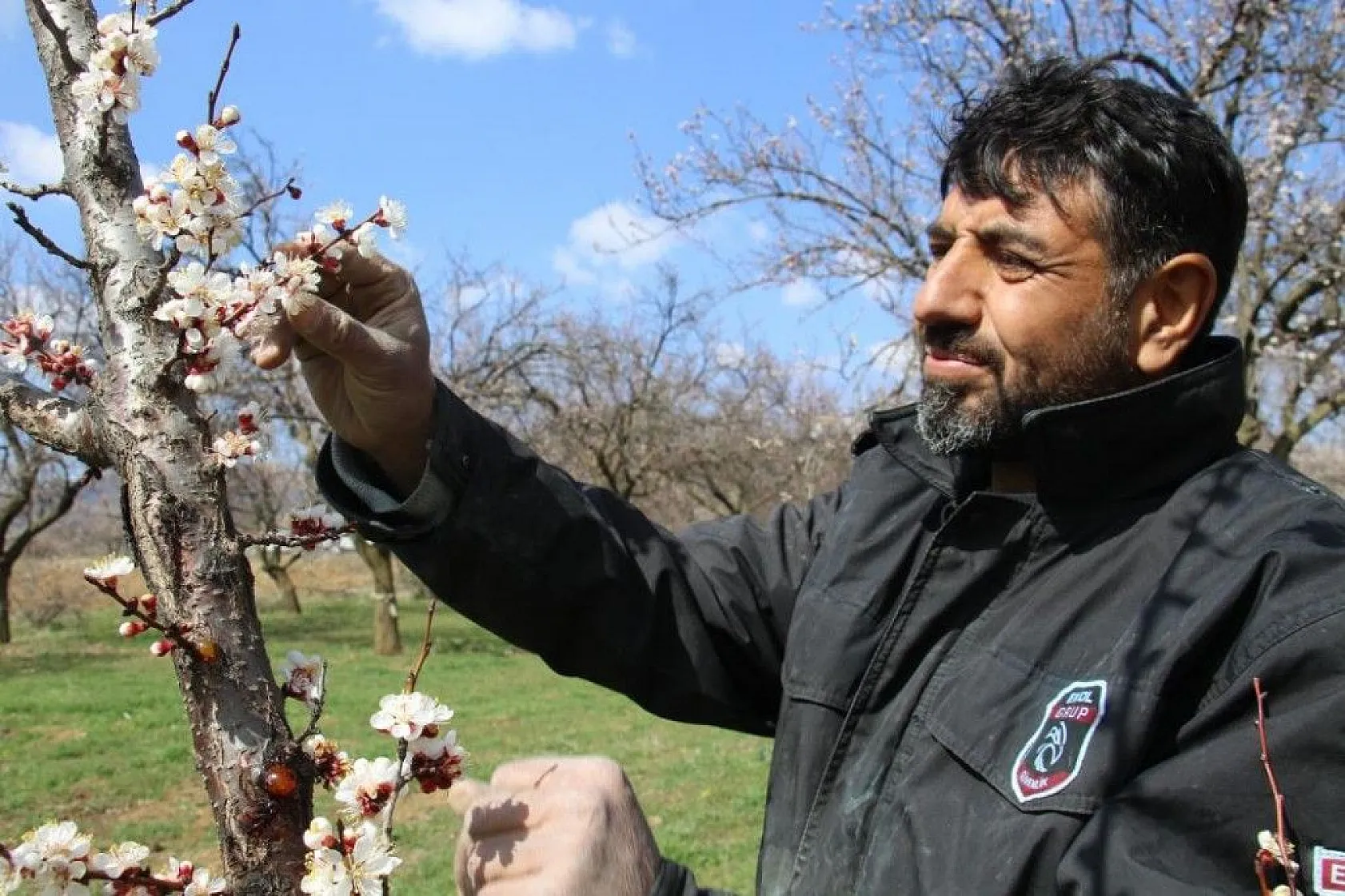Ağaçlar beyaz gelinliği giydi
