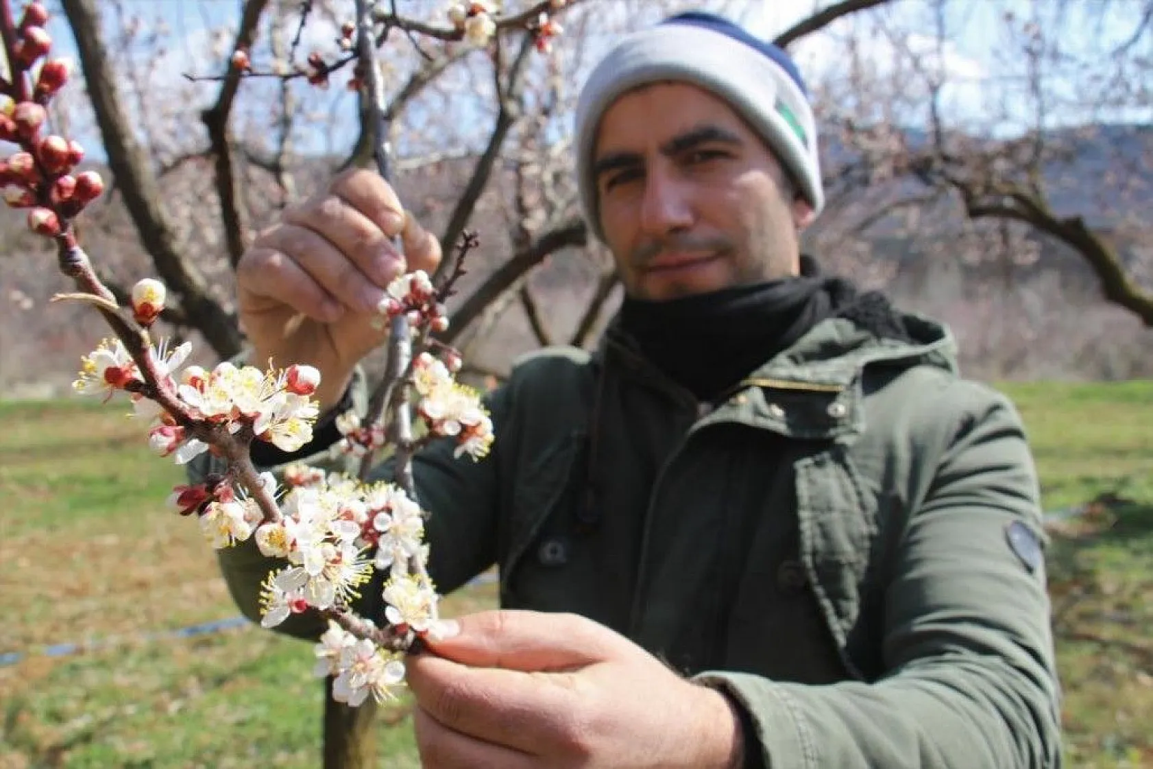 Ağaçlar beyaz gelinliği giydi