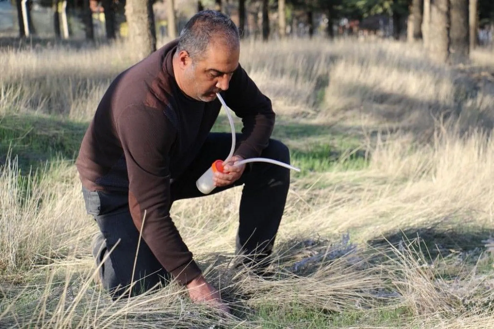 Bu böcek dünyada ikinci, Türkiye'de ilk defa Elazığ'da görüldü