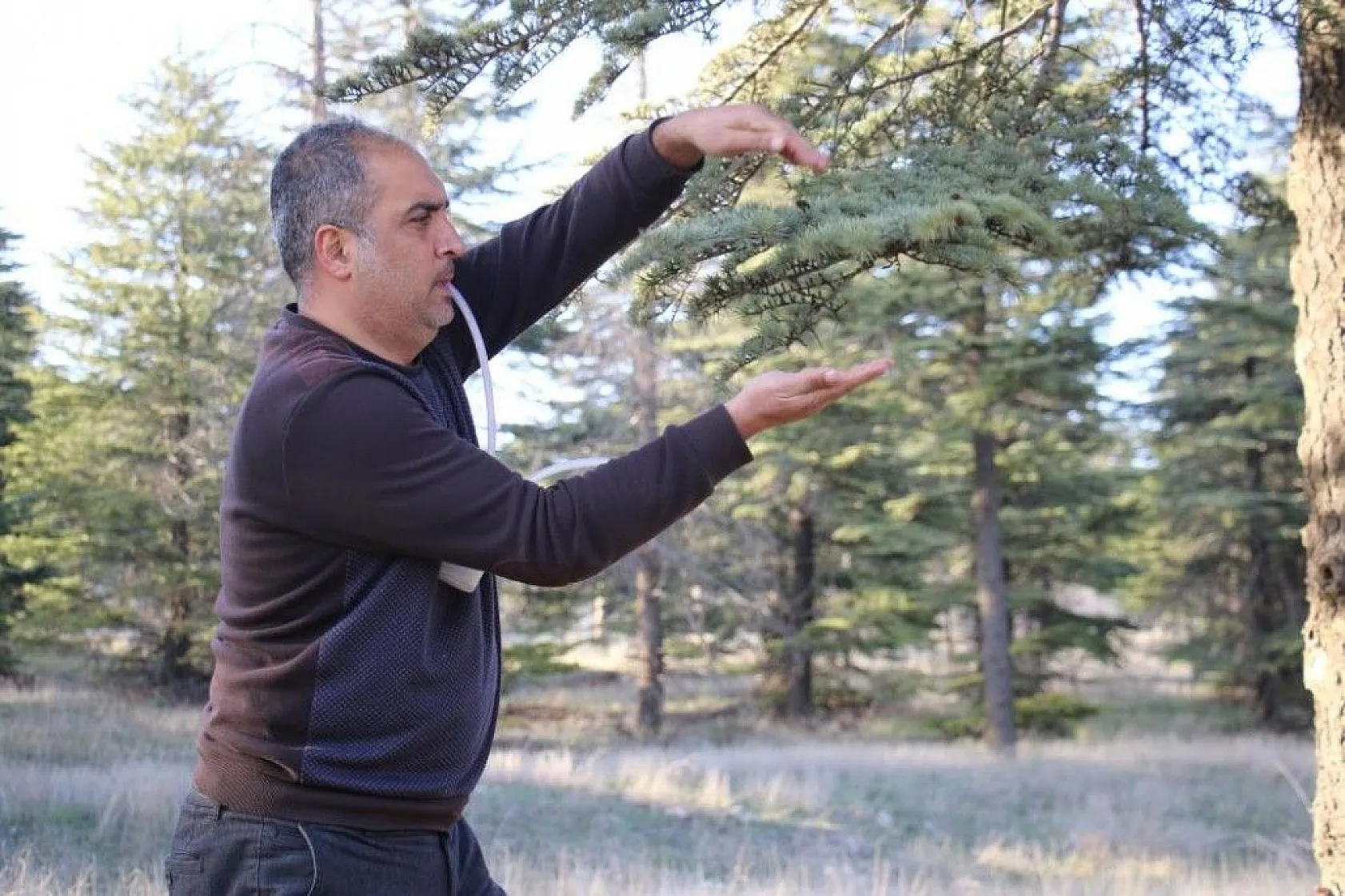 Bu böcek dünyada ikinci, Türkiye'de ilk defa Elazığ'da görüldü
