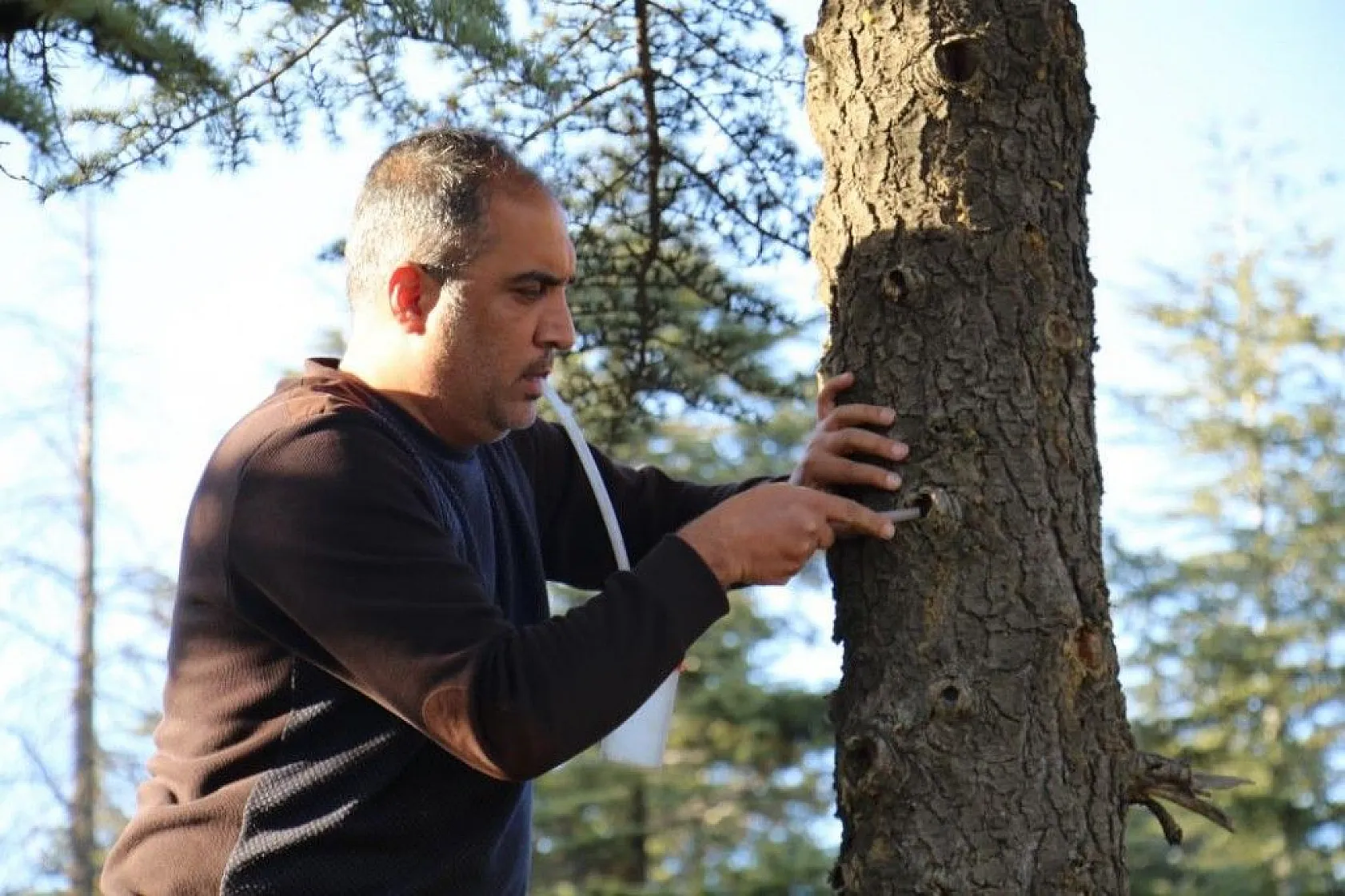 Bu böcek dünyada ikinci, Türkiye'de ilk defa Elazığ'da görüldü
