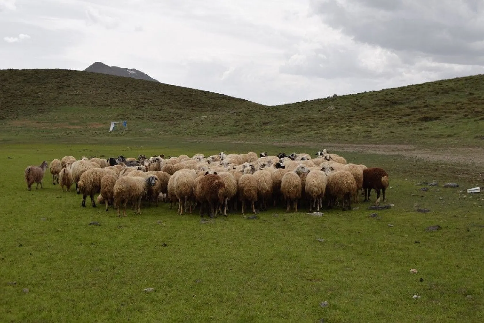 Kalp Gölü tamamen kurudu