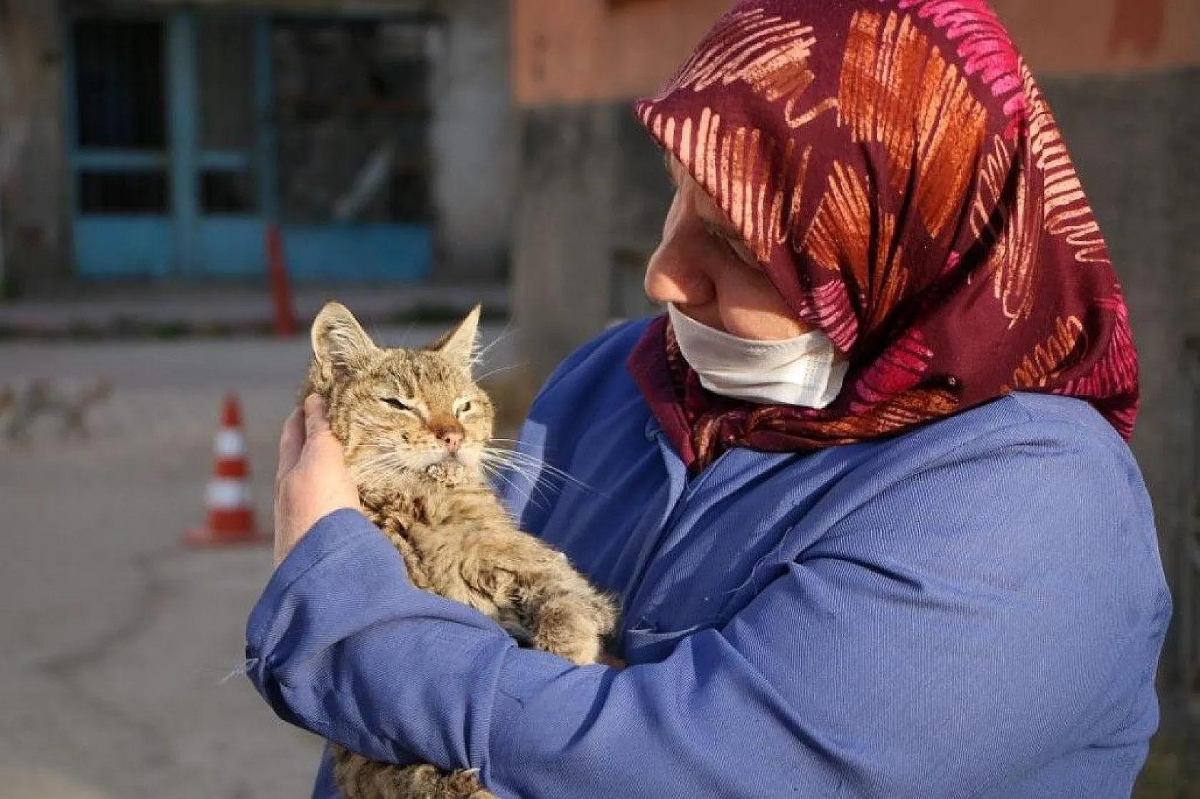 Fatma teyze, 35 kediye anne şefkatiyle bakıyor