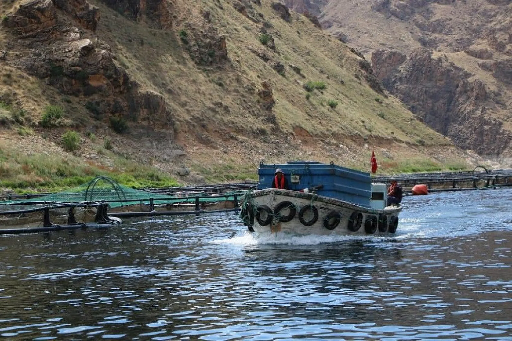 Elazığ'dan dünyaya Türk Somonu