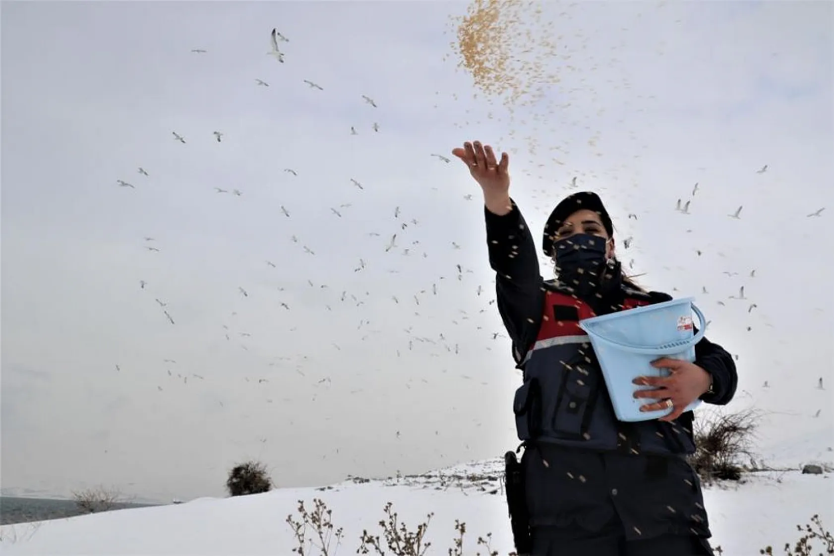 Jandarma, Tavşan Adası'nın uzun kulaklı sakinlerini unutmadı
