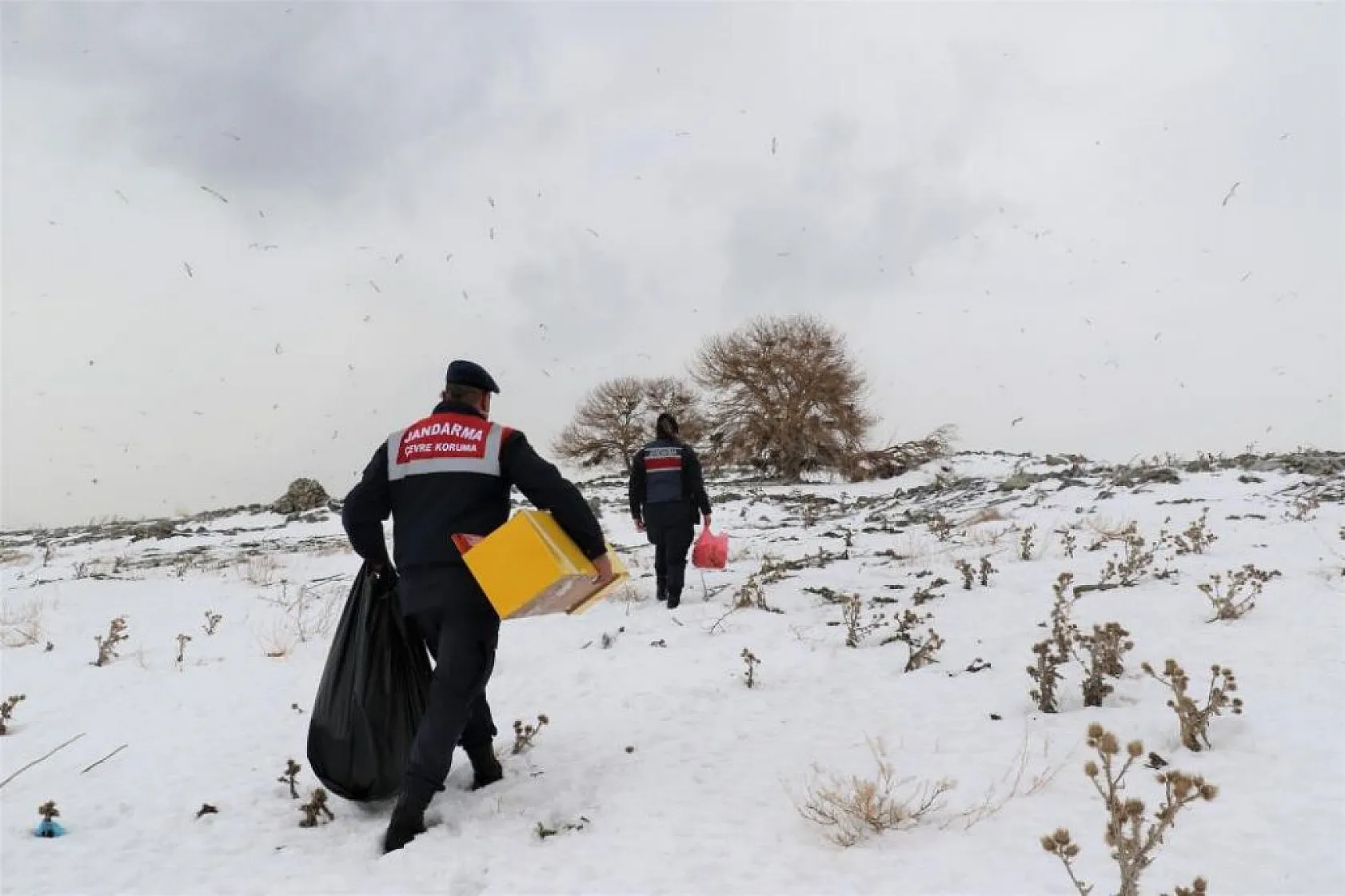 Jandarma, Tavşan Adası'nın uzun kulaklı sakinlerini unutmadı