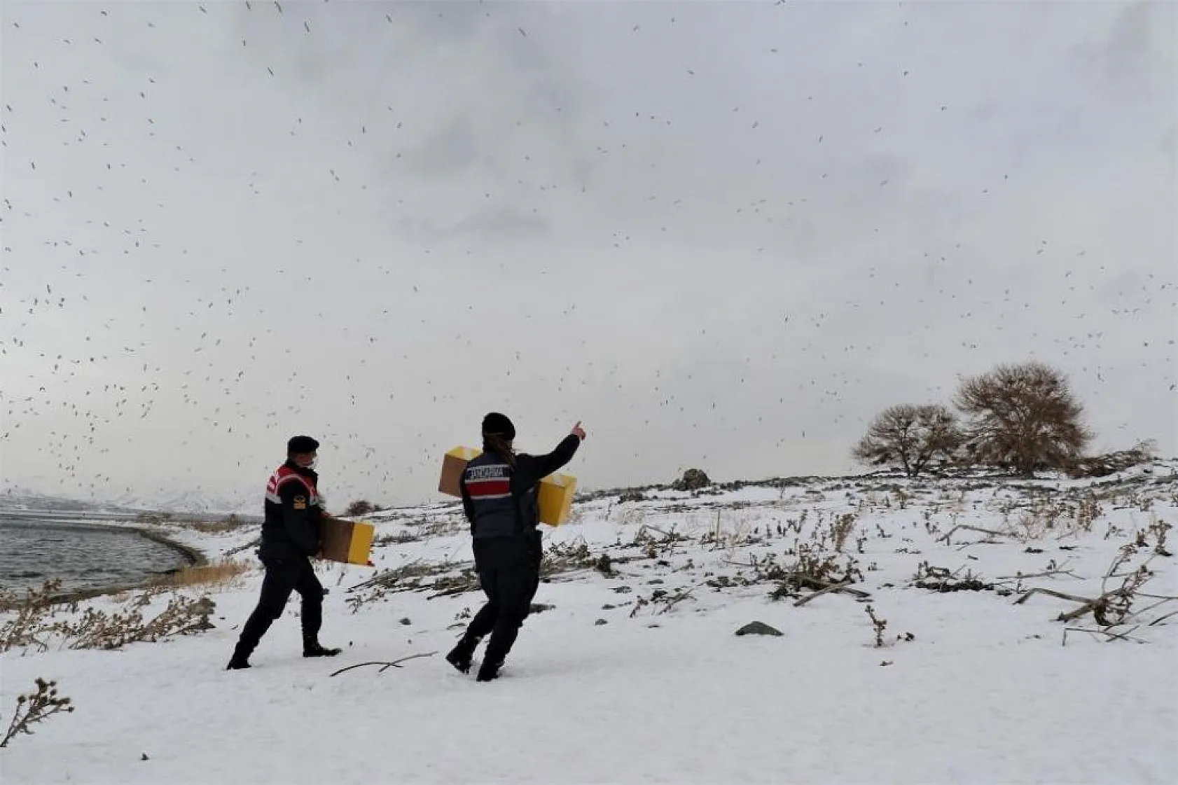 Jandarma, Tavşan Adası'nın uzun kulaklı sakinlerini unutmadı