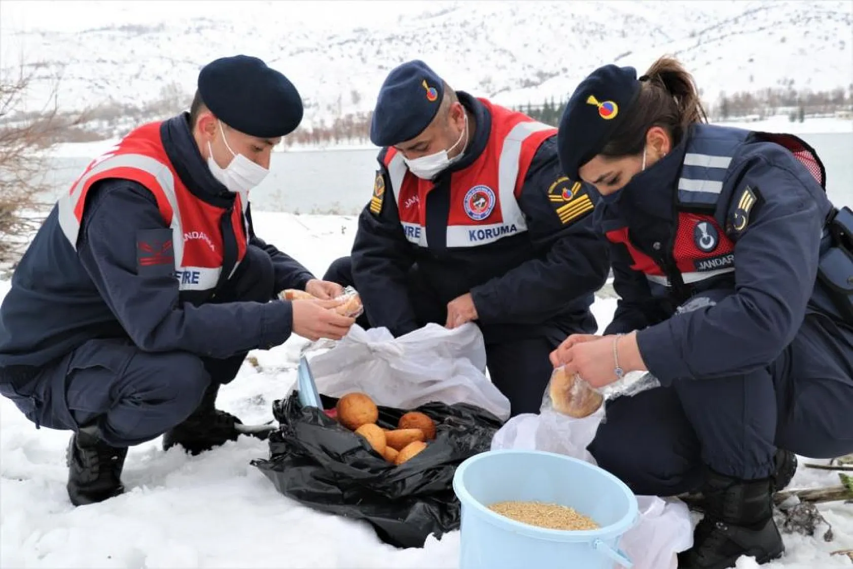 Jandarma, Tavşan Adası'nın uzun kulaklı sakinlerini unutmadı