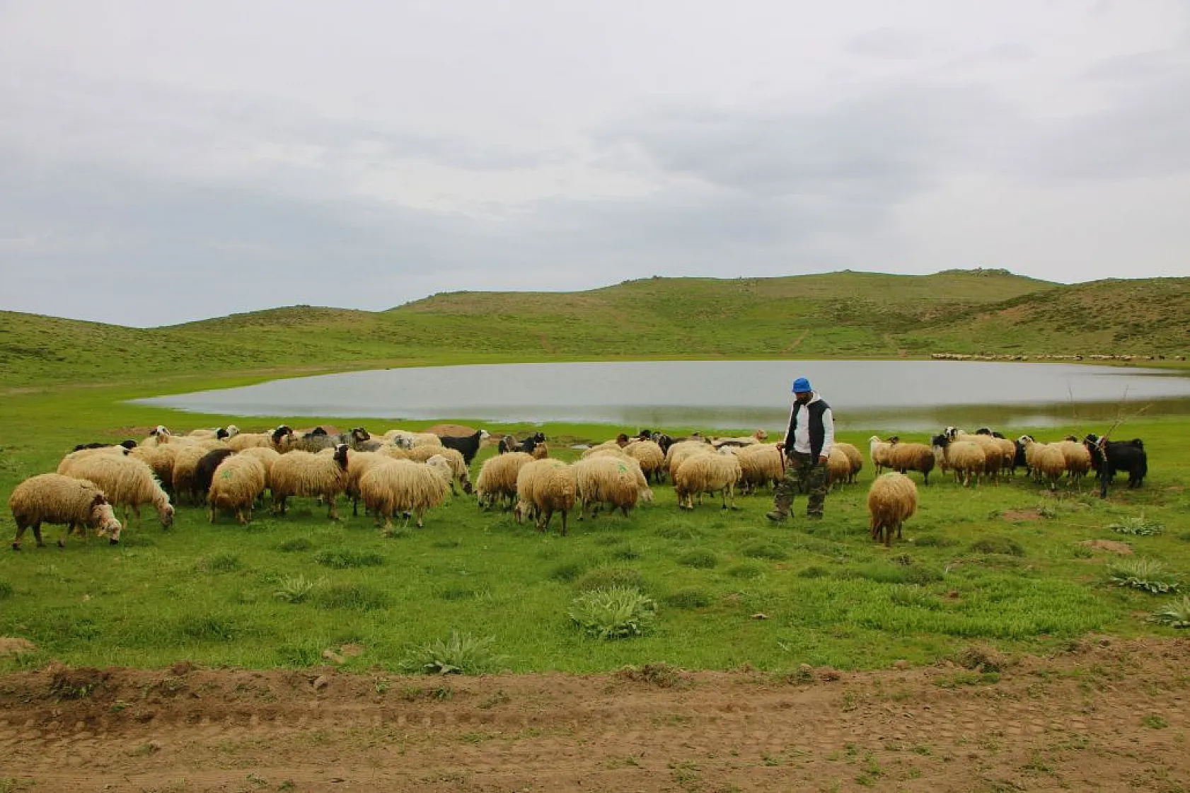 Kuruyan Bervi Gölü yağışlarla yeniden canlandı