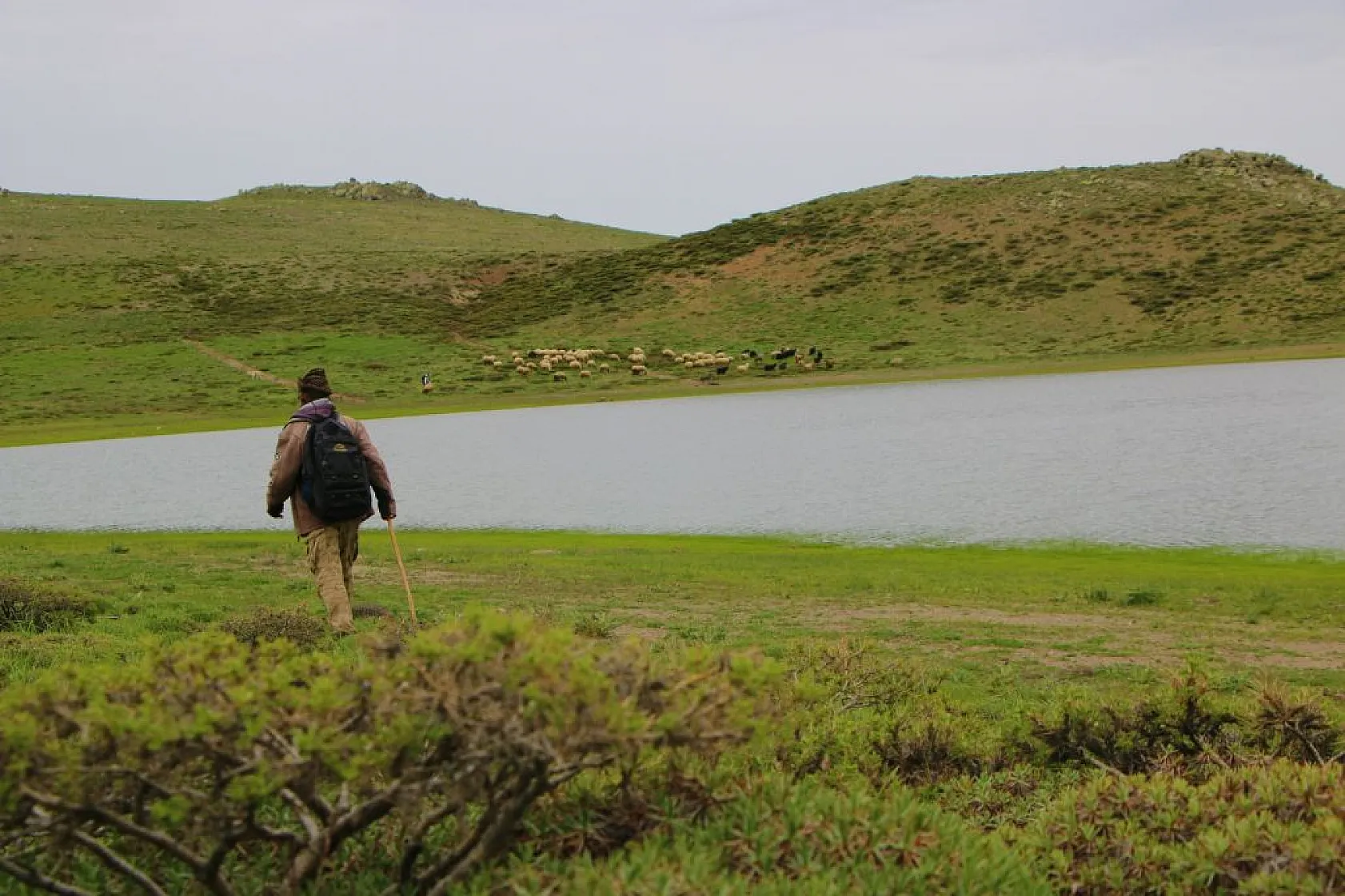 Kuruyan Bervi Gölü yağışlarla yeniden canlandı