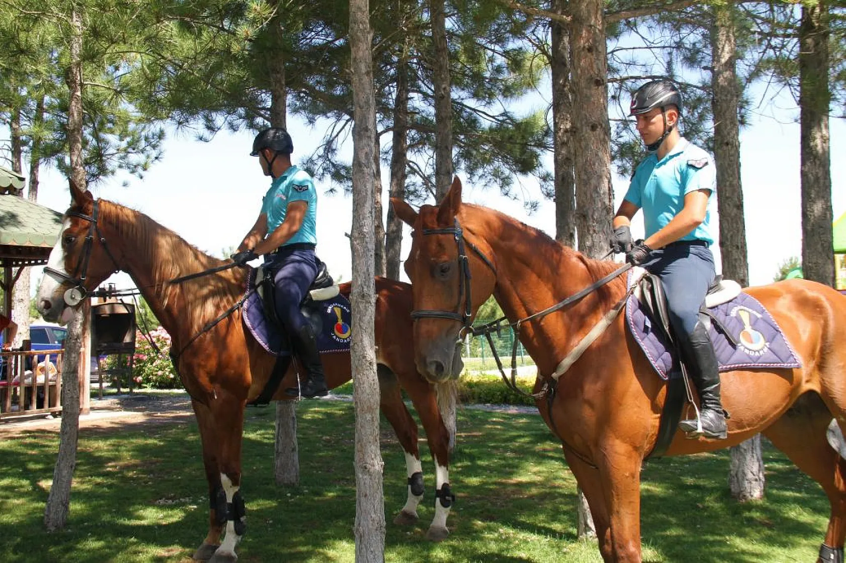 Atlı Jandarma Timi görev başında
