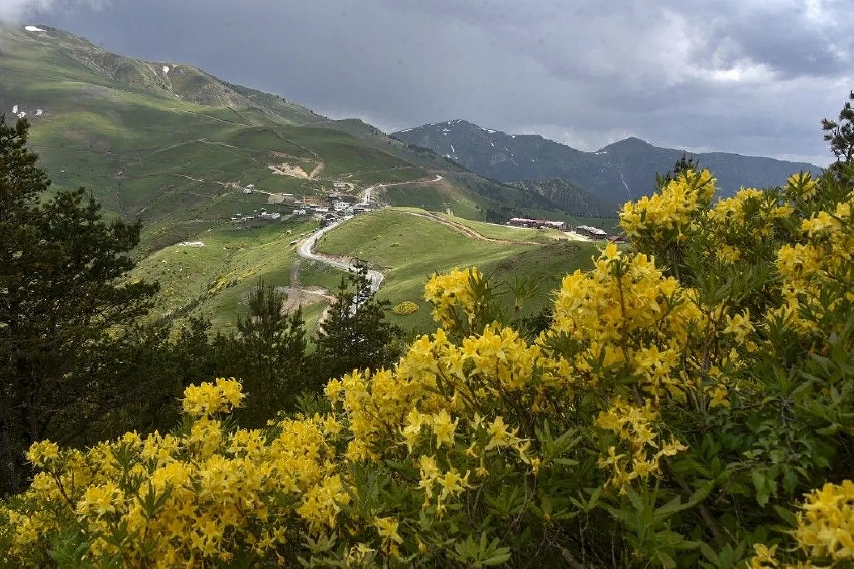 Zigana Dağında renk cümbüşü