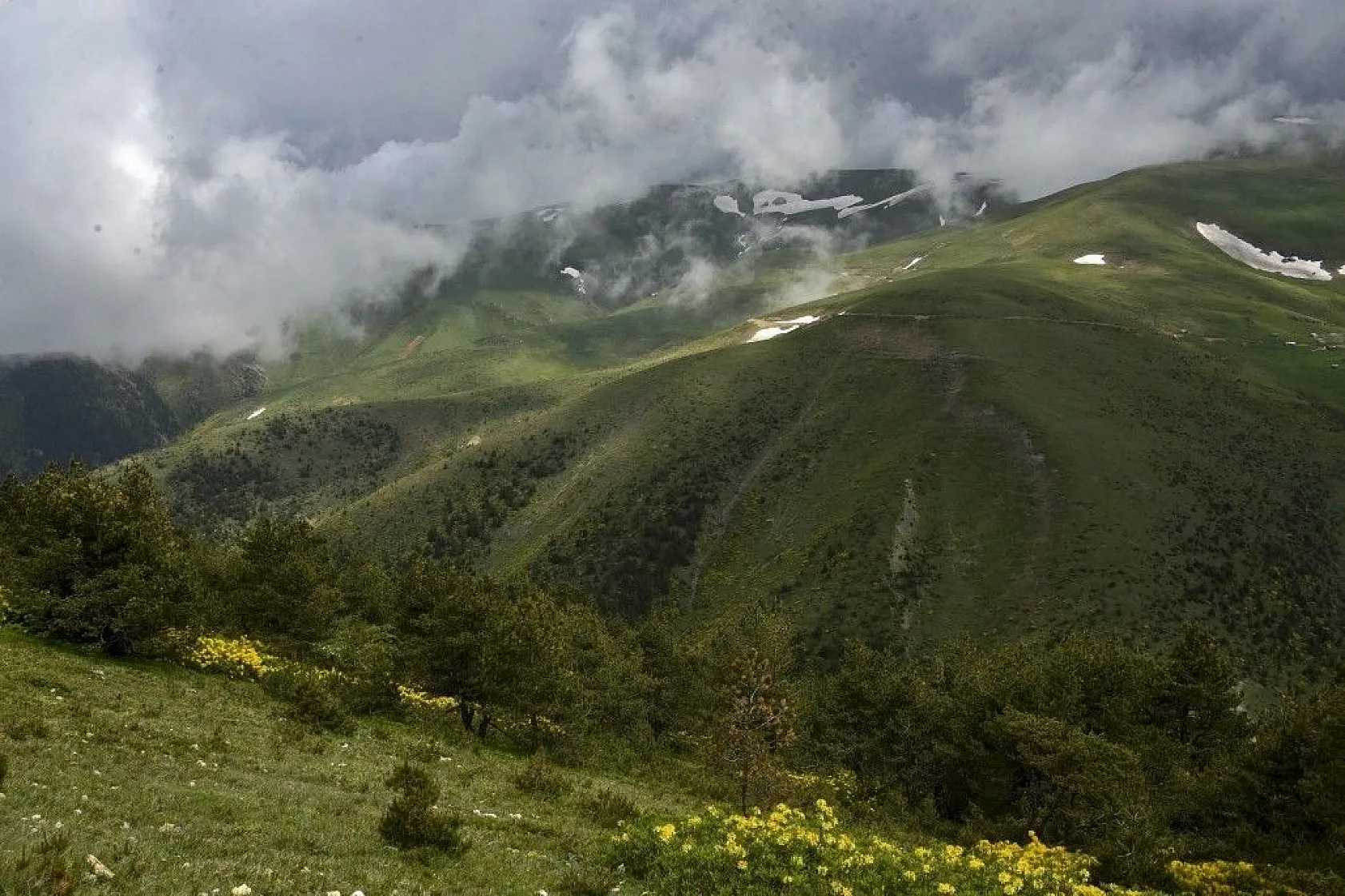 Zigana Dağında renk cümbüşü