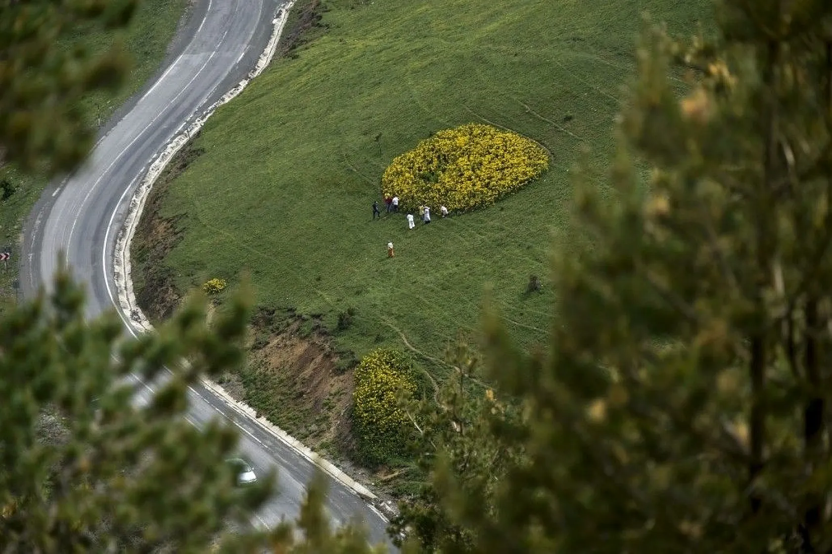 Zigana Dağında renk cümbüşü