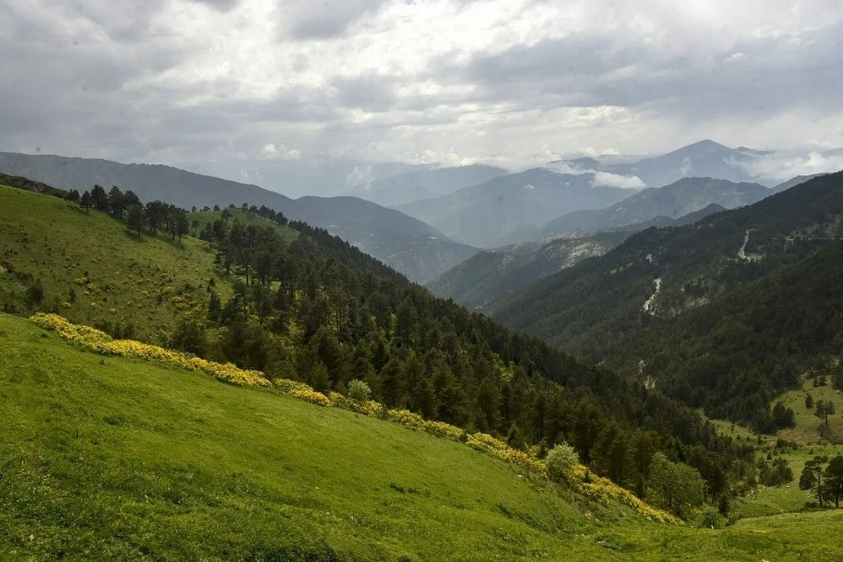 Zigana Dağında renk cümbüşü