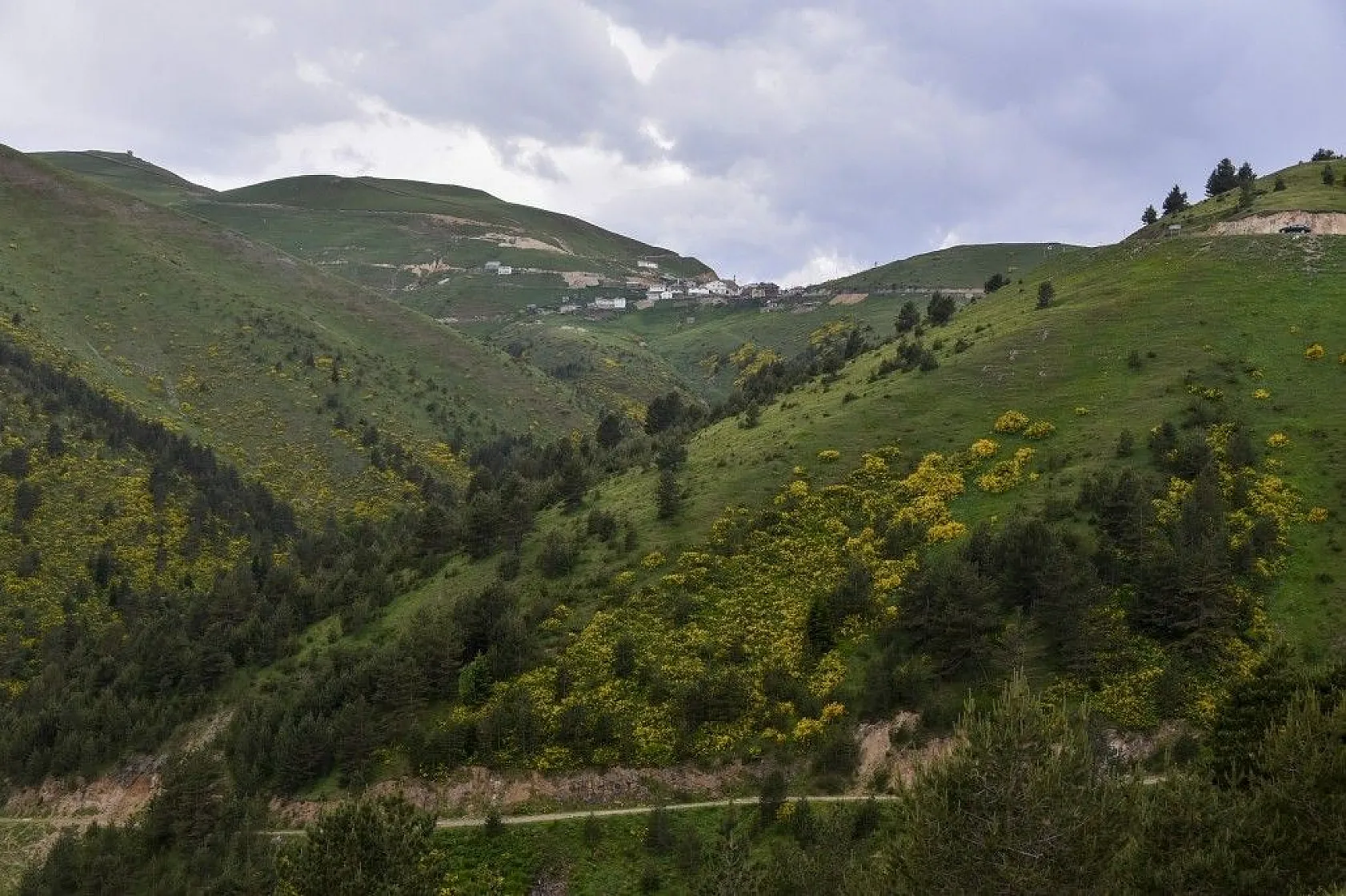 Zigana Dağında renk cümbüşü