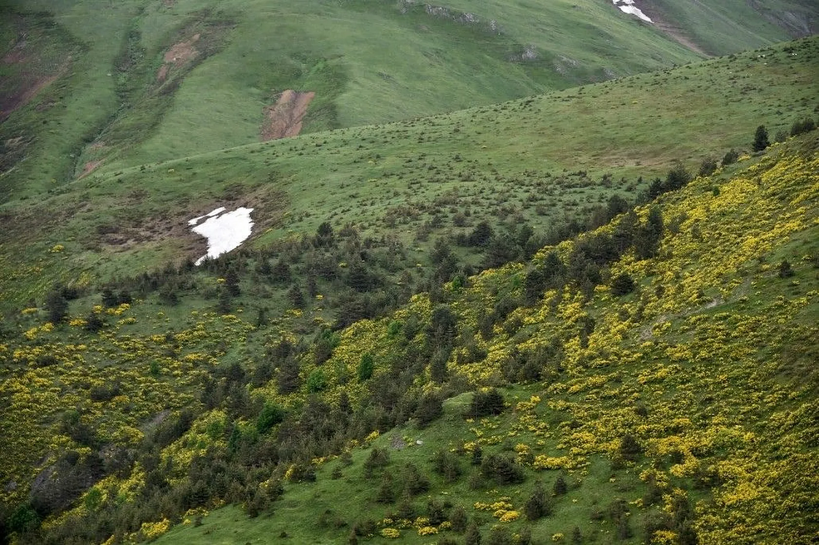 Zigana Dağında renk cümbüşü