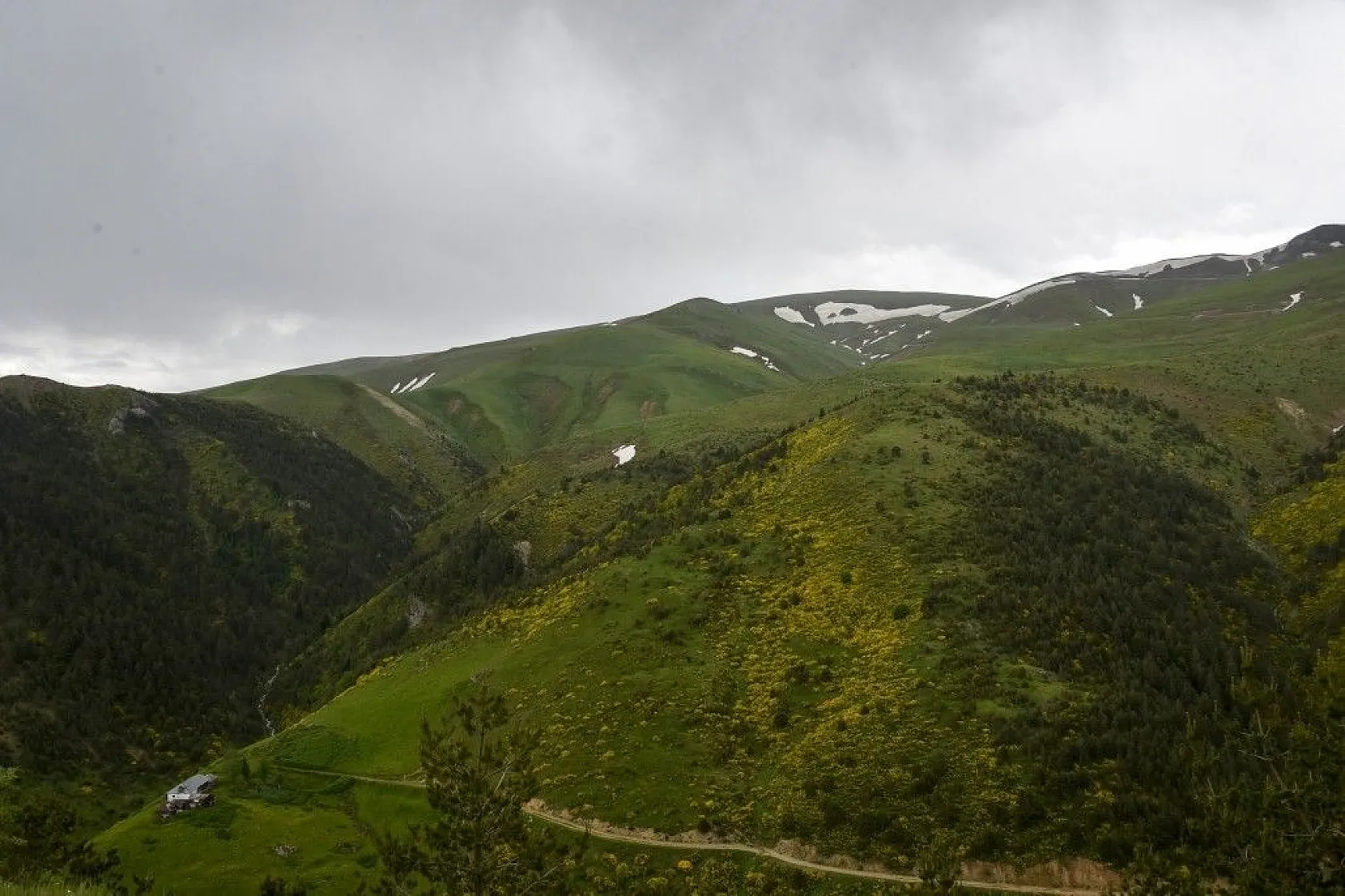 Zigana Dağında renk cümbüşü