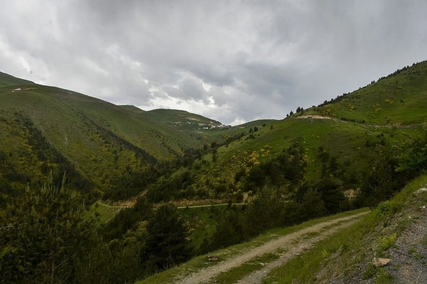 Zigana Dağında renk cümbüşü