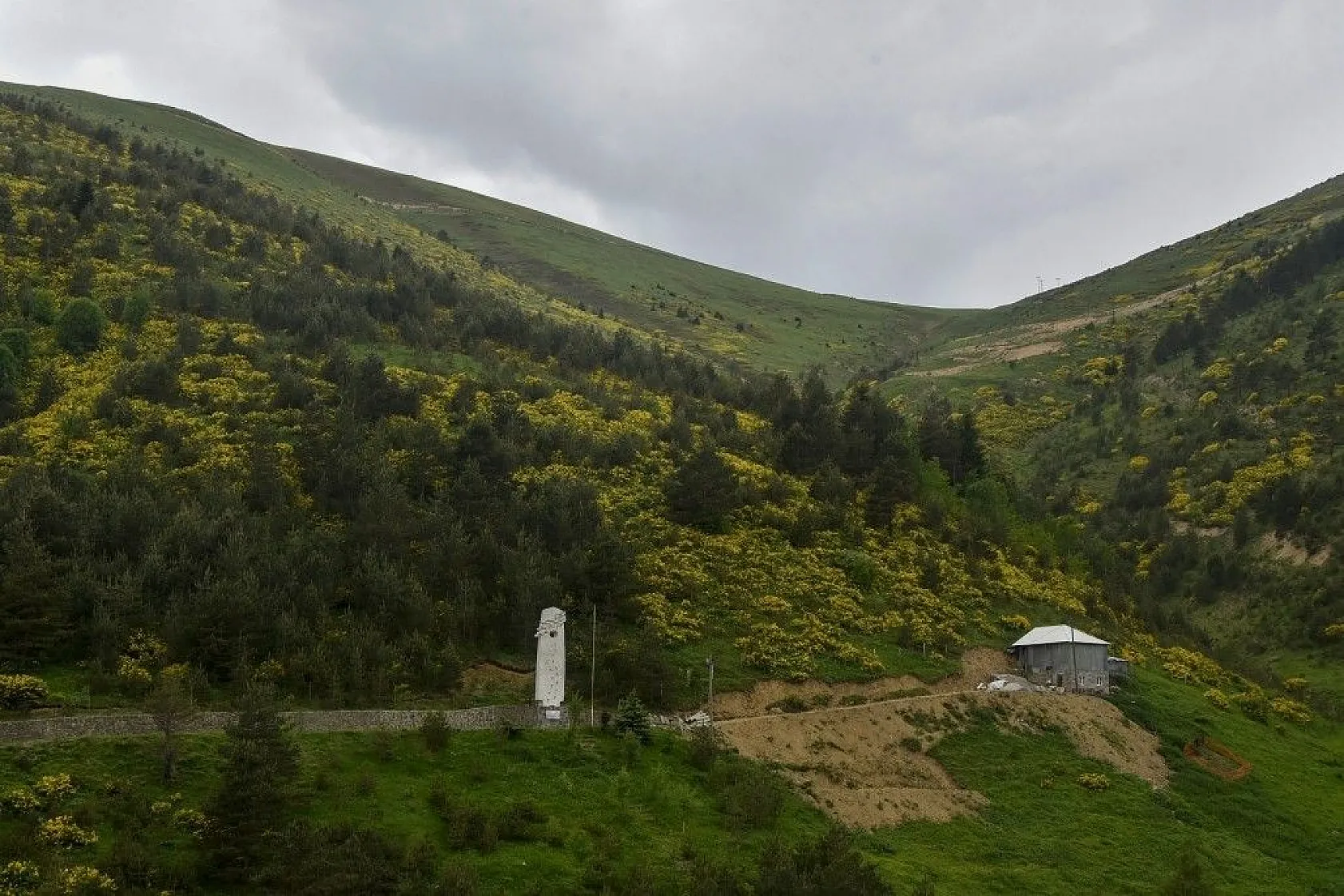 Zigana Dağında renk cümbüşü