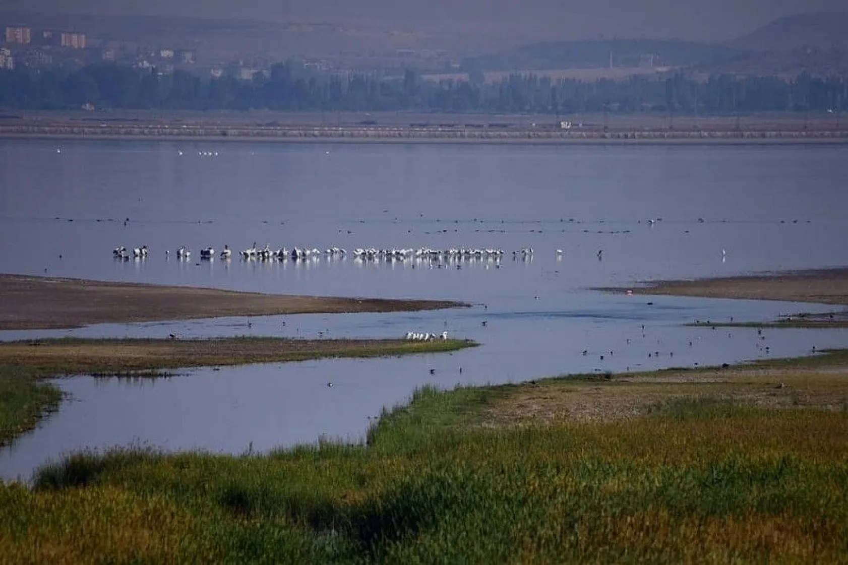 'Allı turna'ların suyla dansı