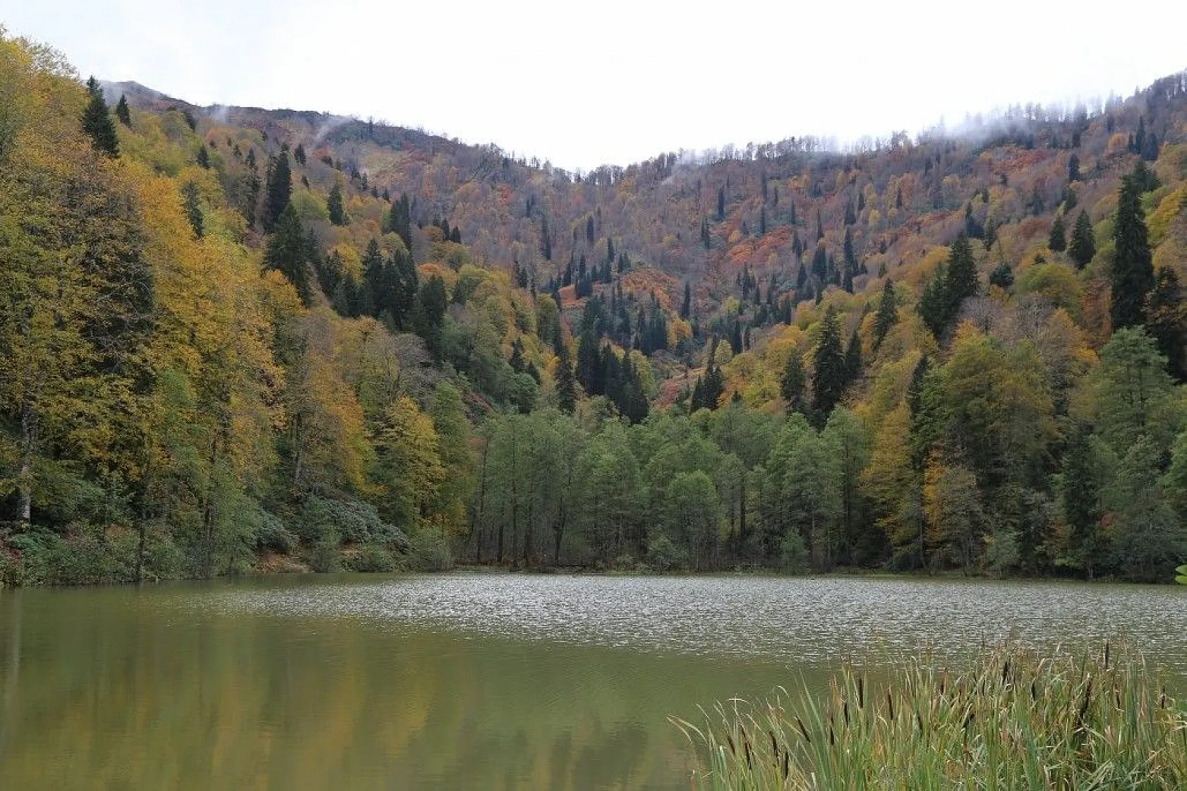 Borçka Karagöl'ün büyüleyen sonbahar güzelliği