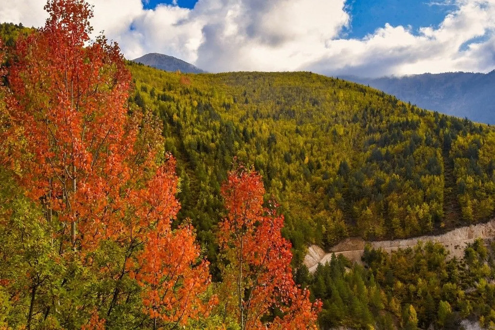 Zigana'da renk cümbüşü