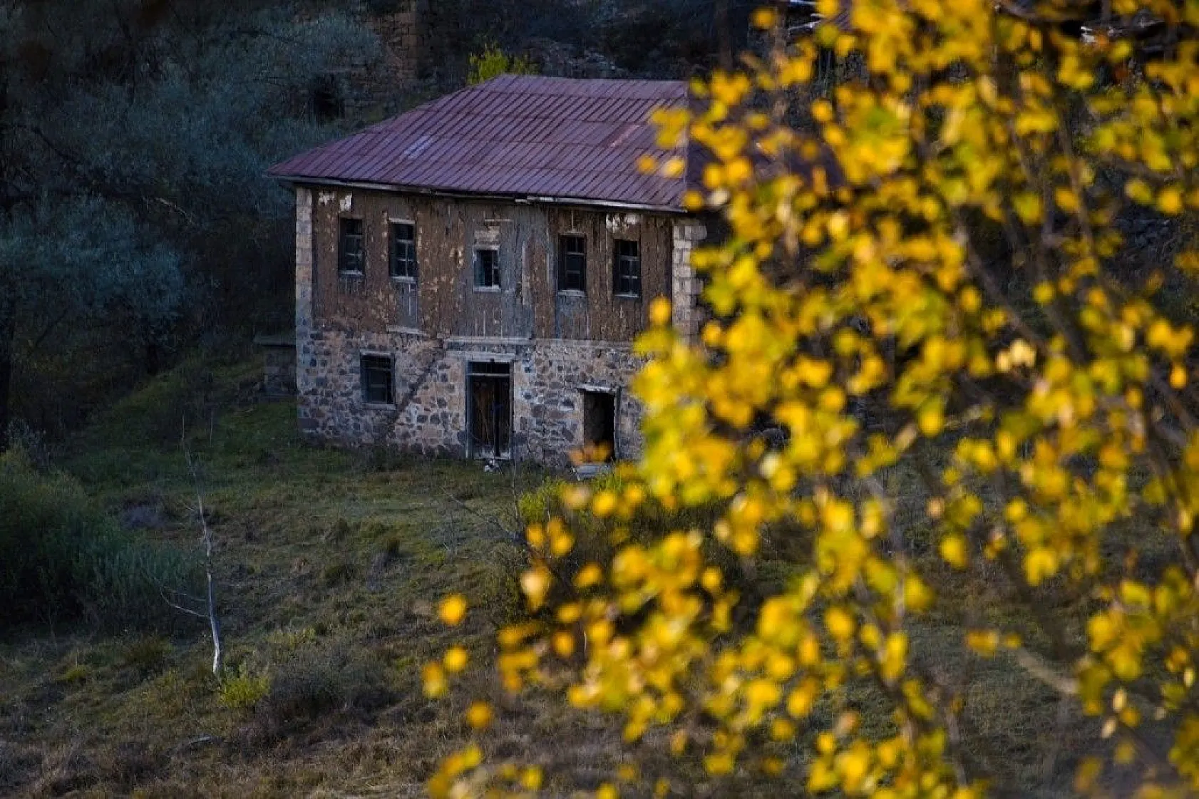 Zigana'da renk cümbüşü