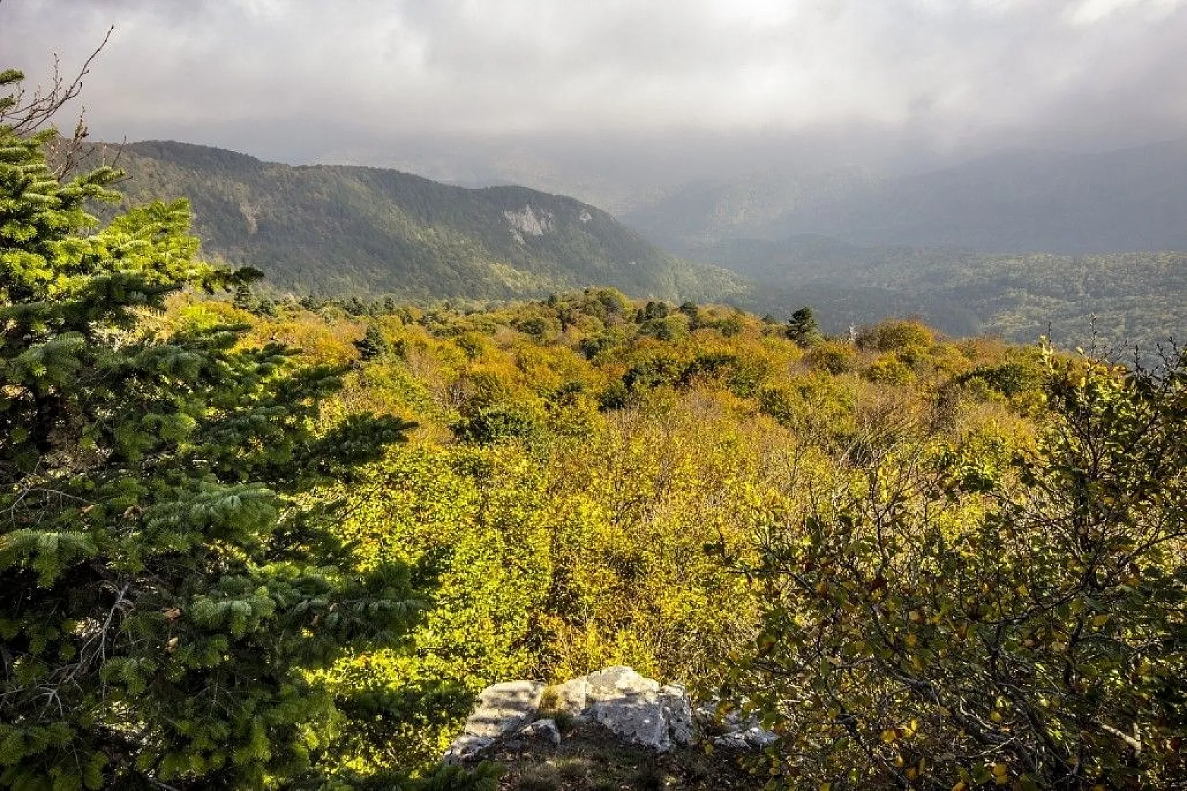 Kazdağları'nın sonbahar renkleri büyülüyor
