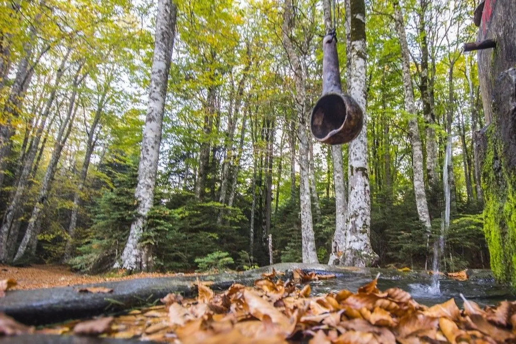 Kazdağları'nın sonbahar renkleri büyülüyor