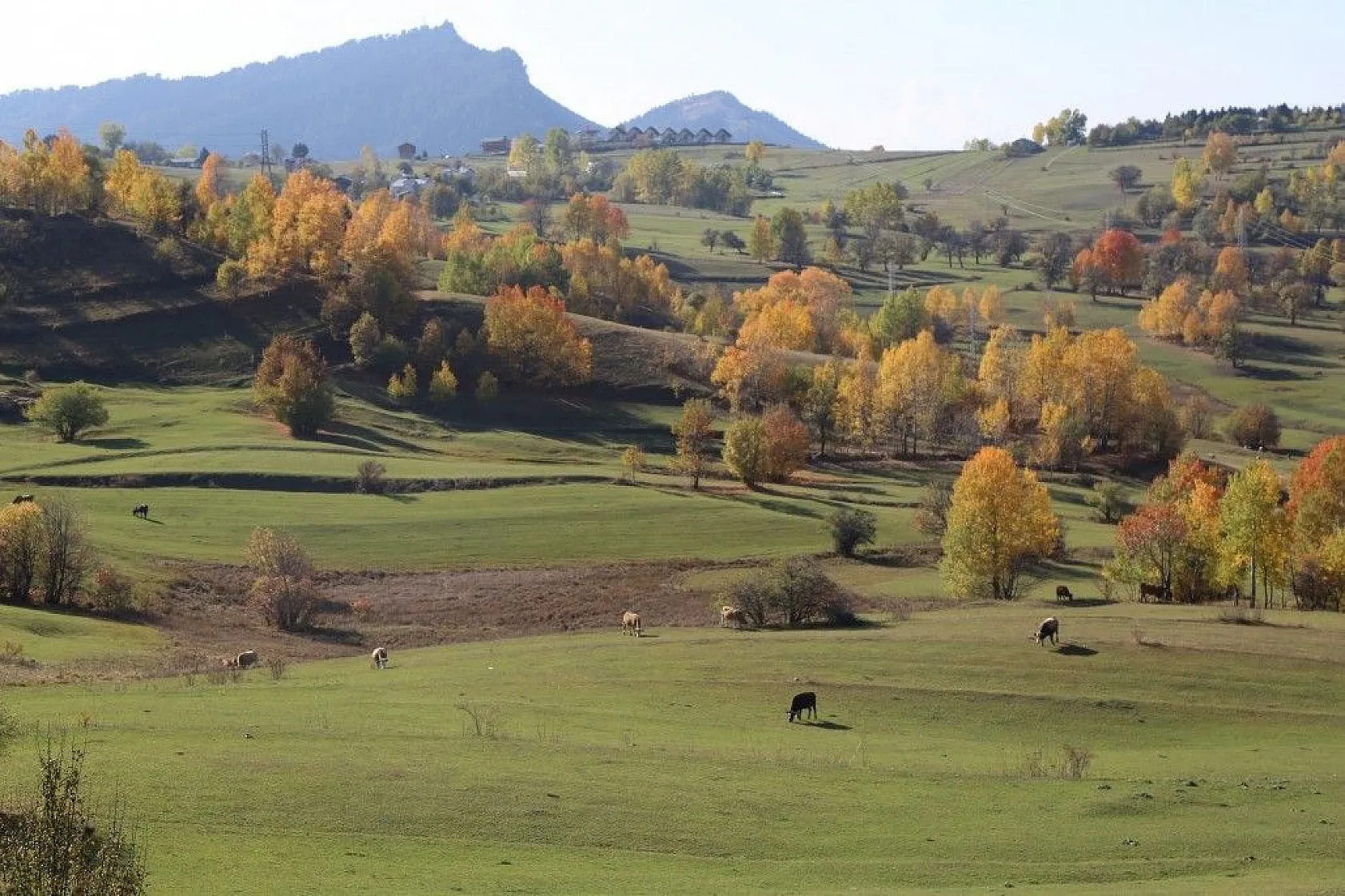 Fotoğraf tutkunları sonbaharda sakin şehir Şavşat'a akın ediyor