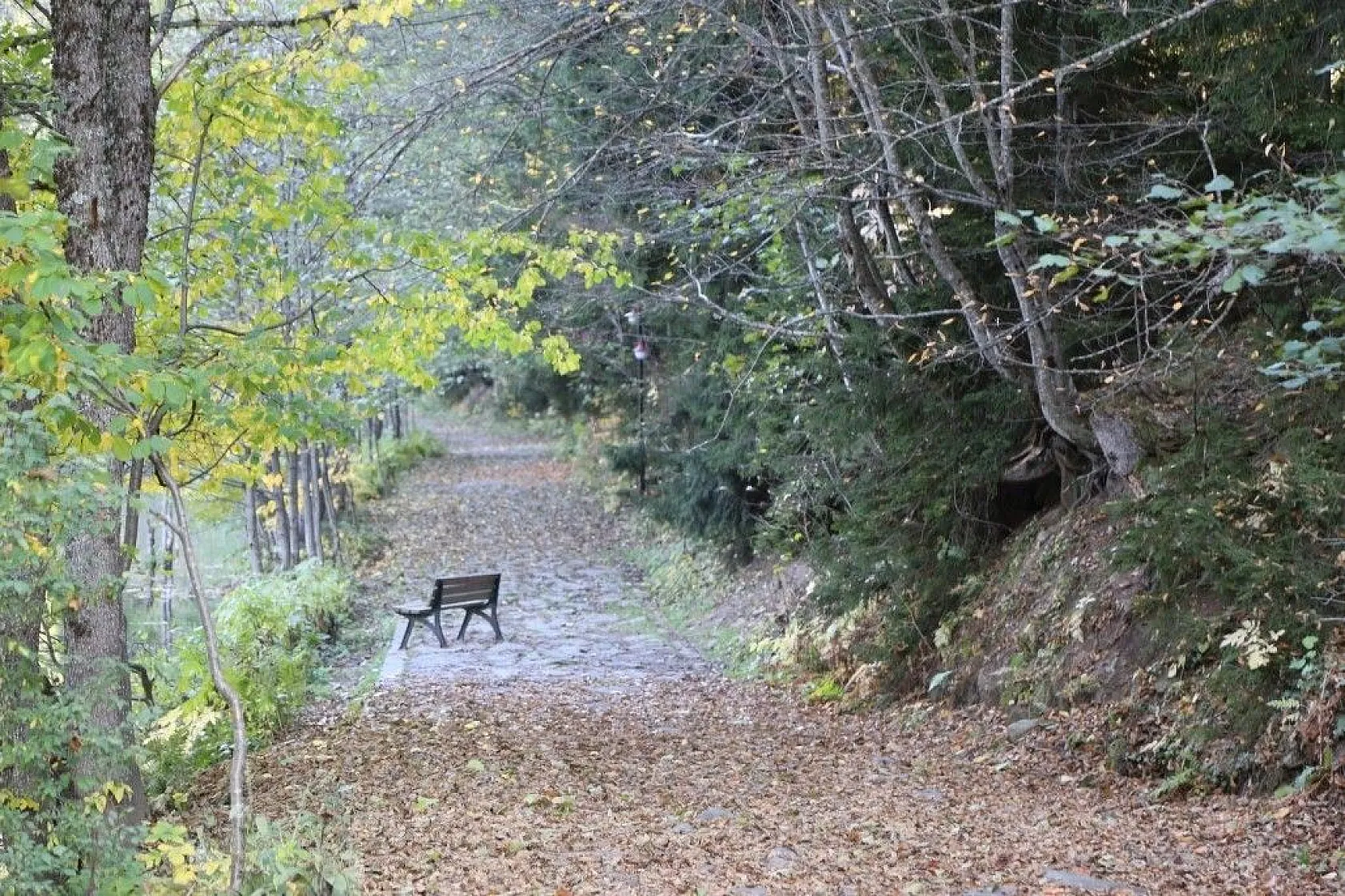 Fotoğraf tutkunları sonbaharda sakin şehir Şavşat'a akın ediyor