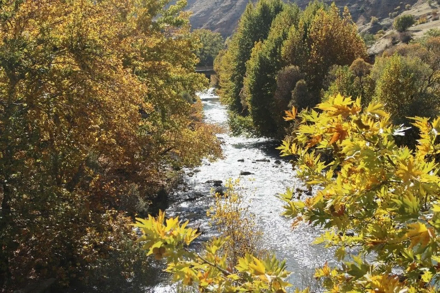 Tağar Köprüsün'de sonbahar şölen