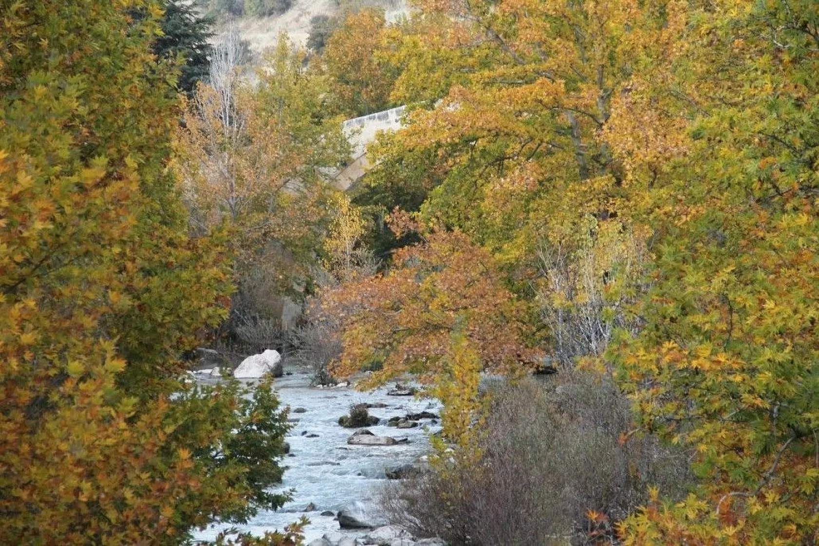 Tağar Köprüsün'de sonbahar şölen