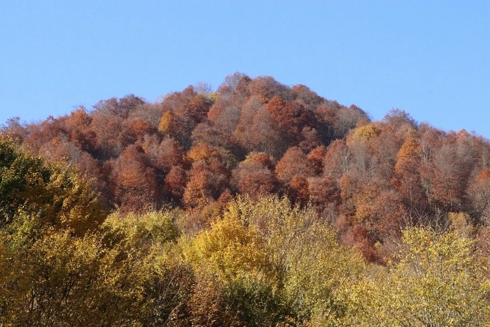 Nebiyan Dağı sonbaharda bir başka güzel
