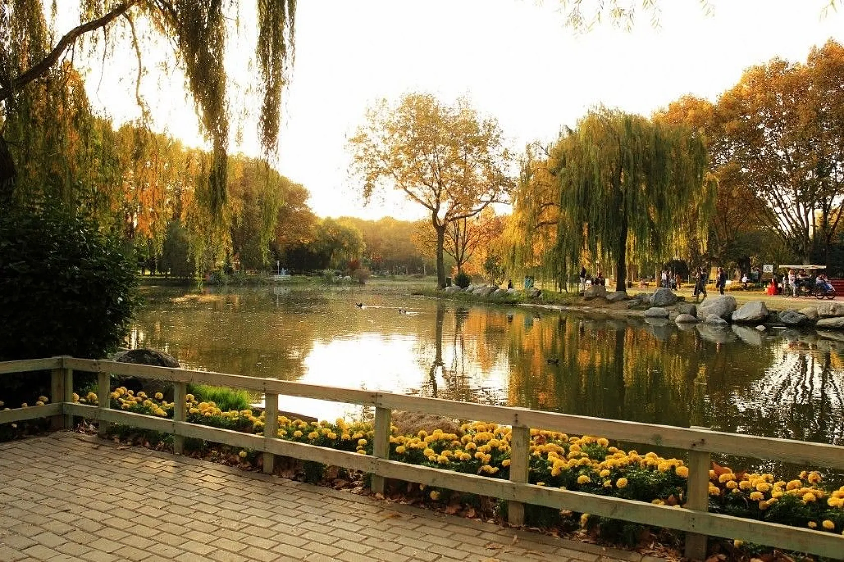 Botanik Park'ta kartpostallık sonbahar manzaraları