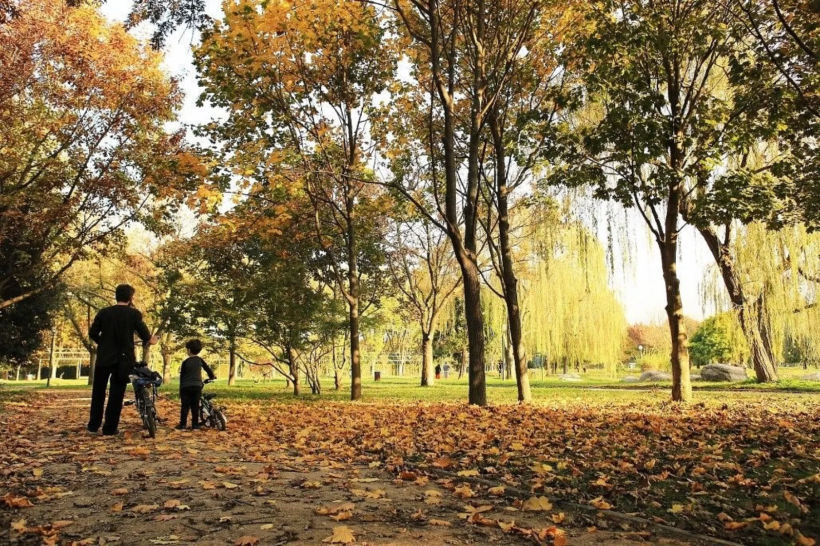 Botanik Park'ta kartpostallık sonbahar manzaraları