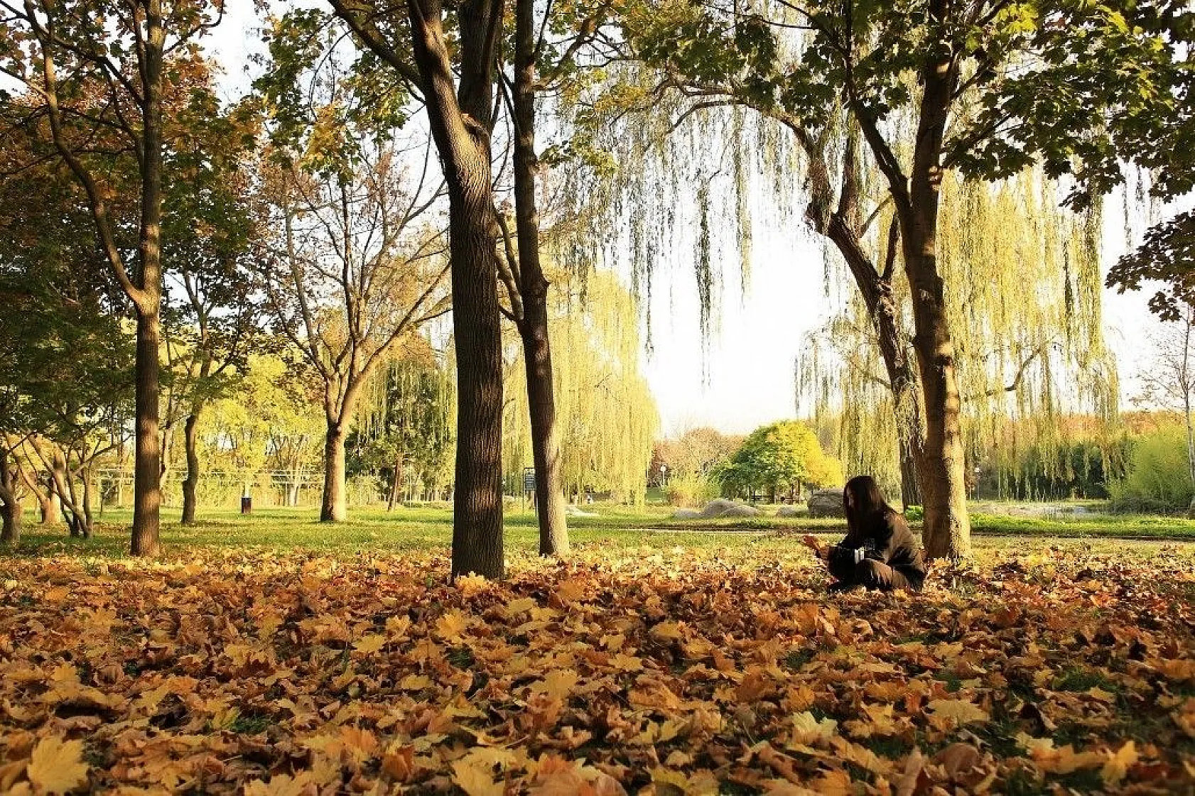 Botanik Park'ta kartpostallık sonbahar manzaraları