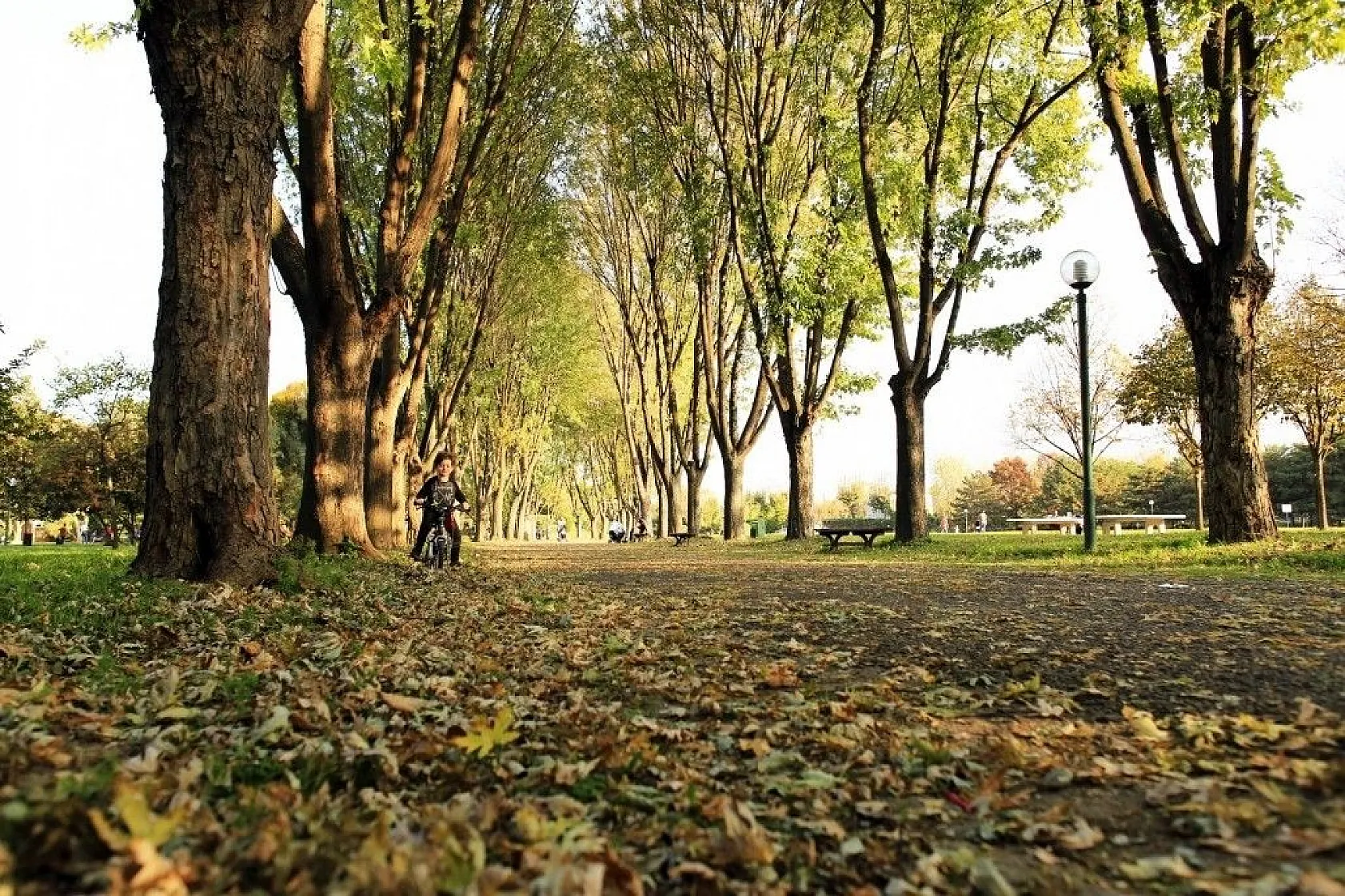 Botanik Park'ta kartpostallık sonbahar manzaraları