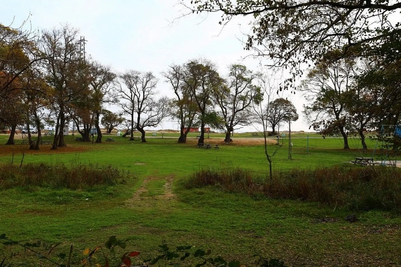 Çamlıkoy Tabiat Parkı'nda muhteşem sonbahar