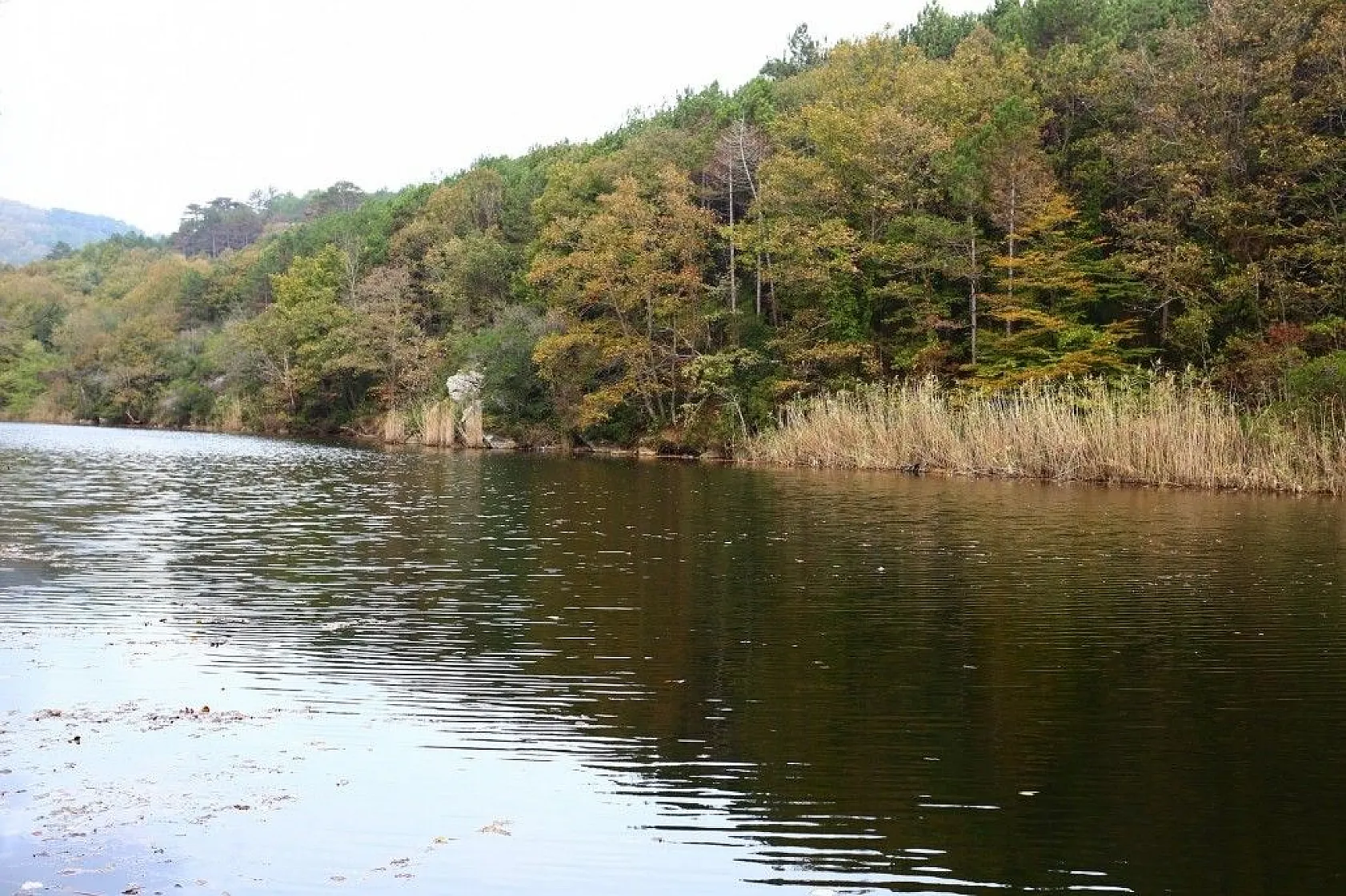 Çamlıkoy Tabiat Parkı'nda muhteşem sonbahar