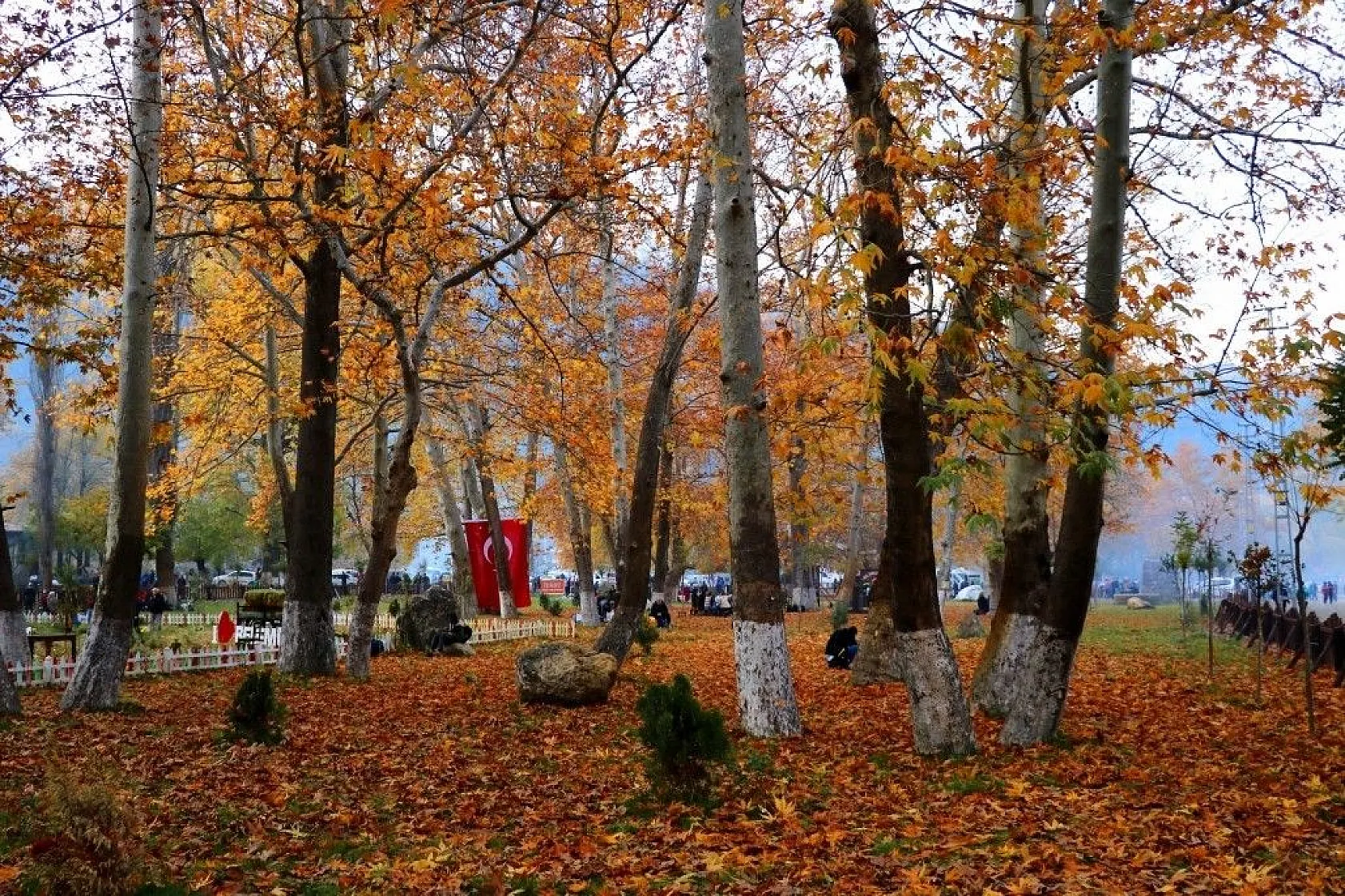 Belemedik, sonbaharda renk cümbüşüne büründü