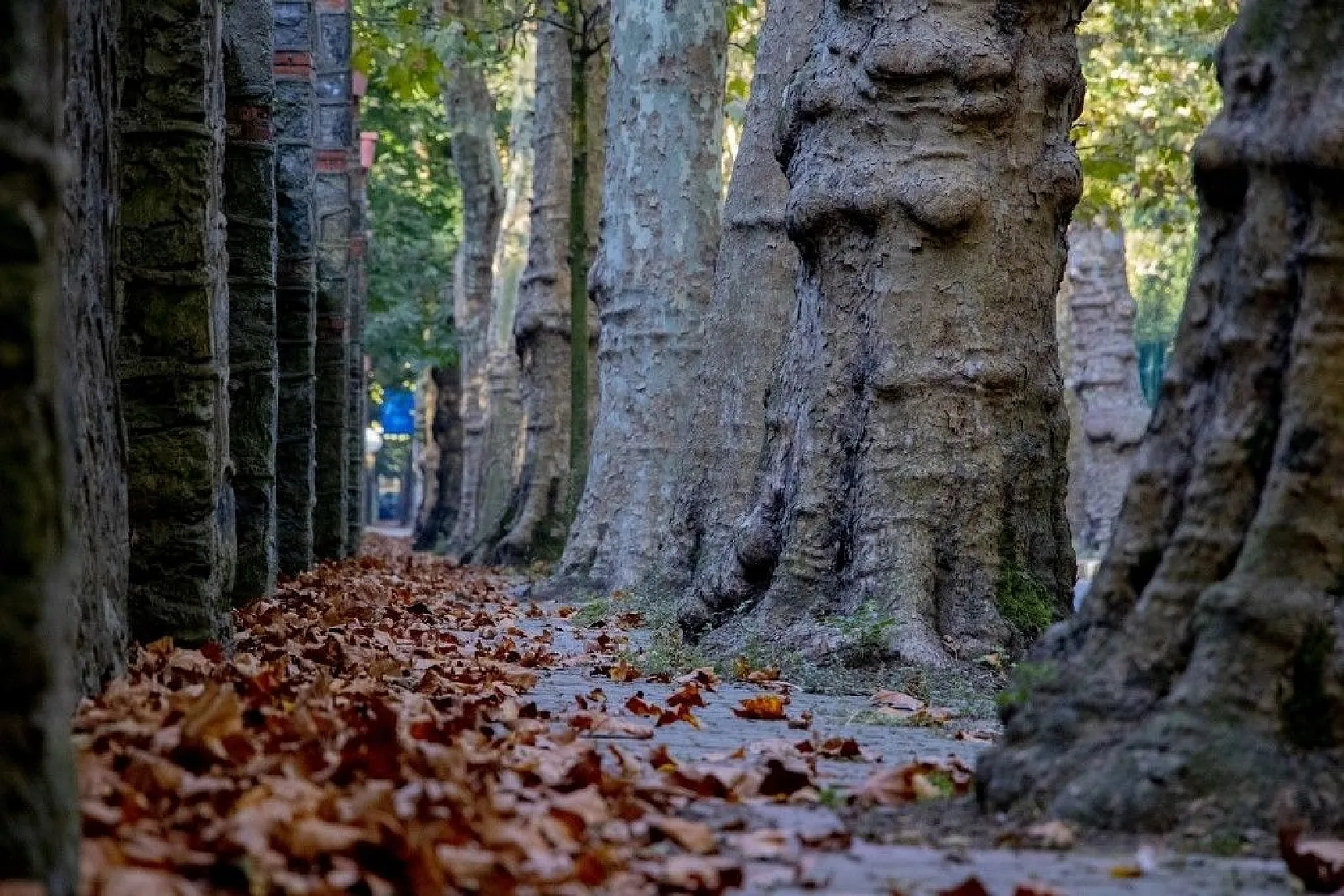 Kasımda Beykoz başka güzel