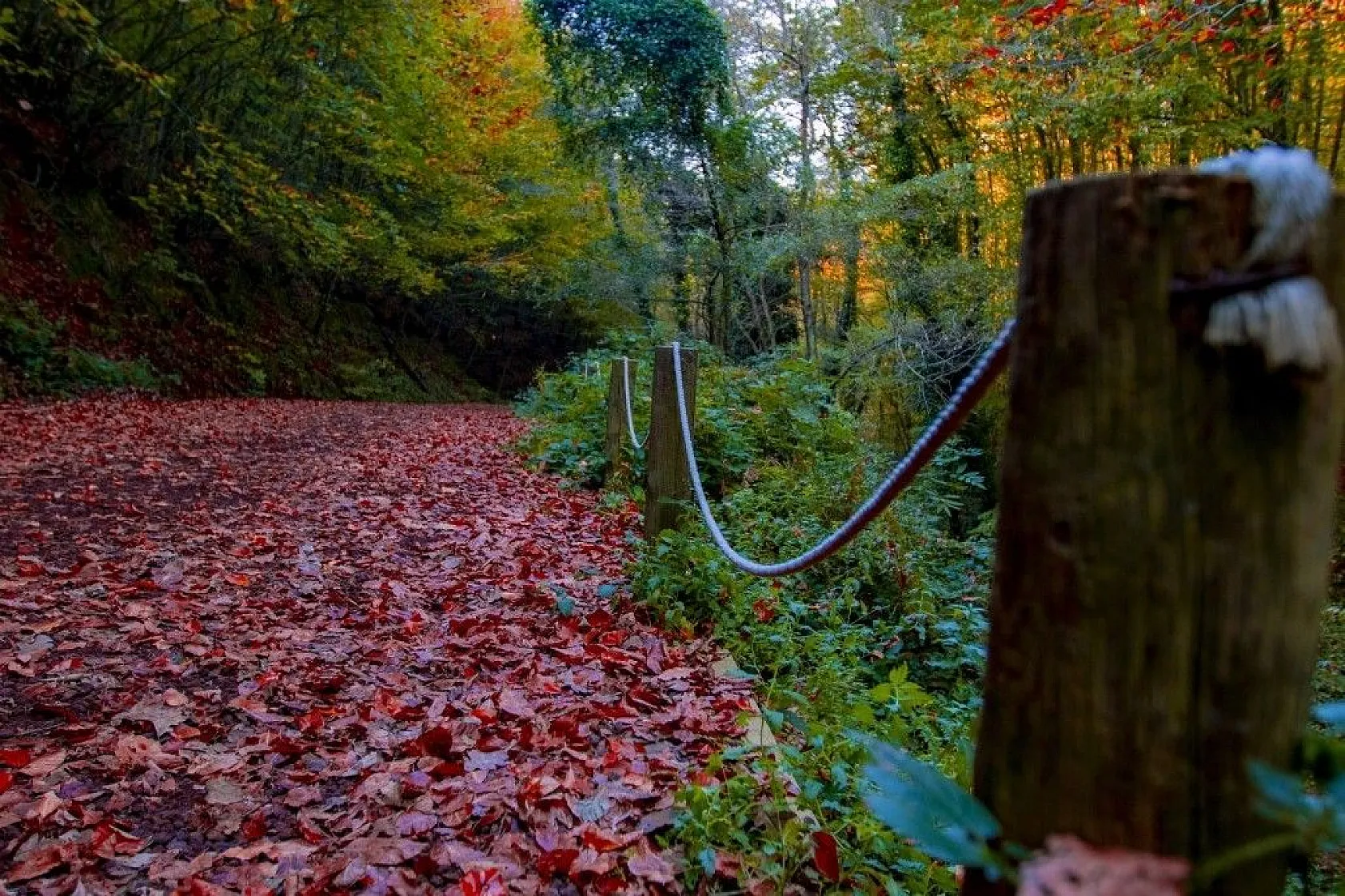 Kasımda Beykoz başka güzel