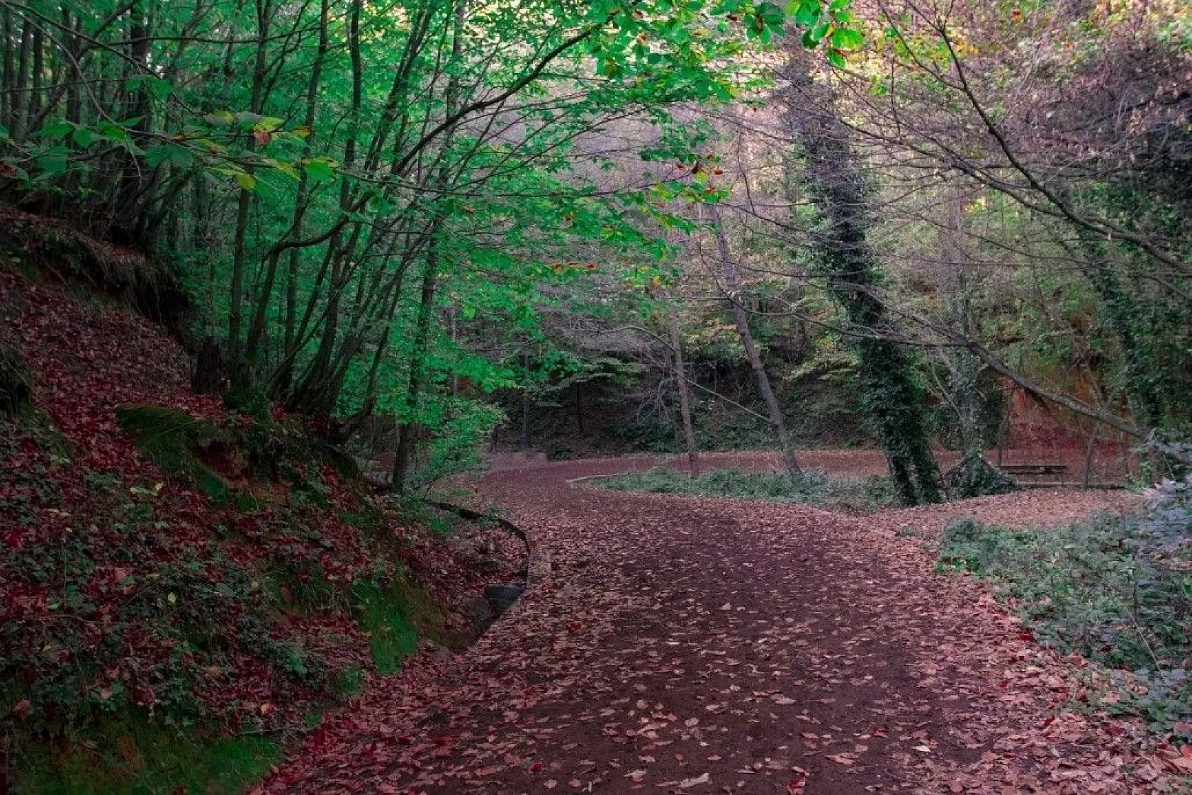 Kasımda Beykoz başka güzel